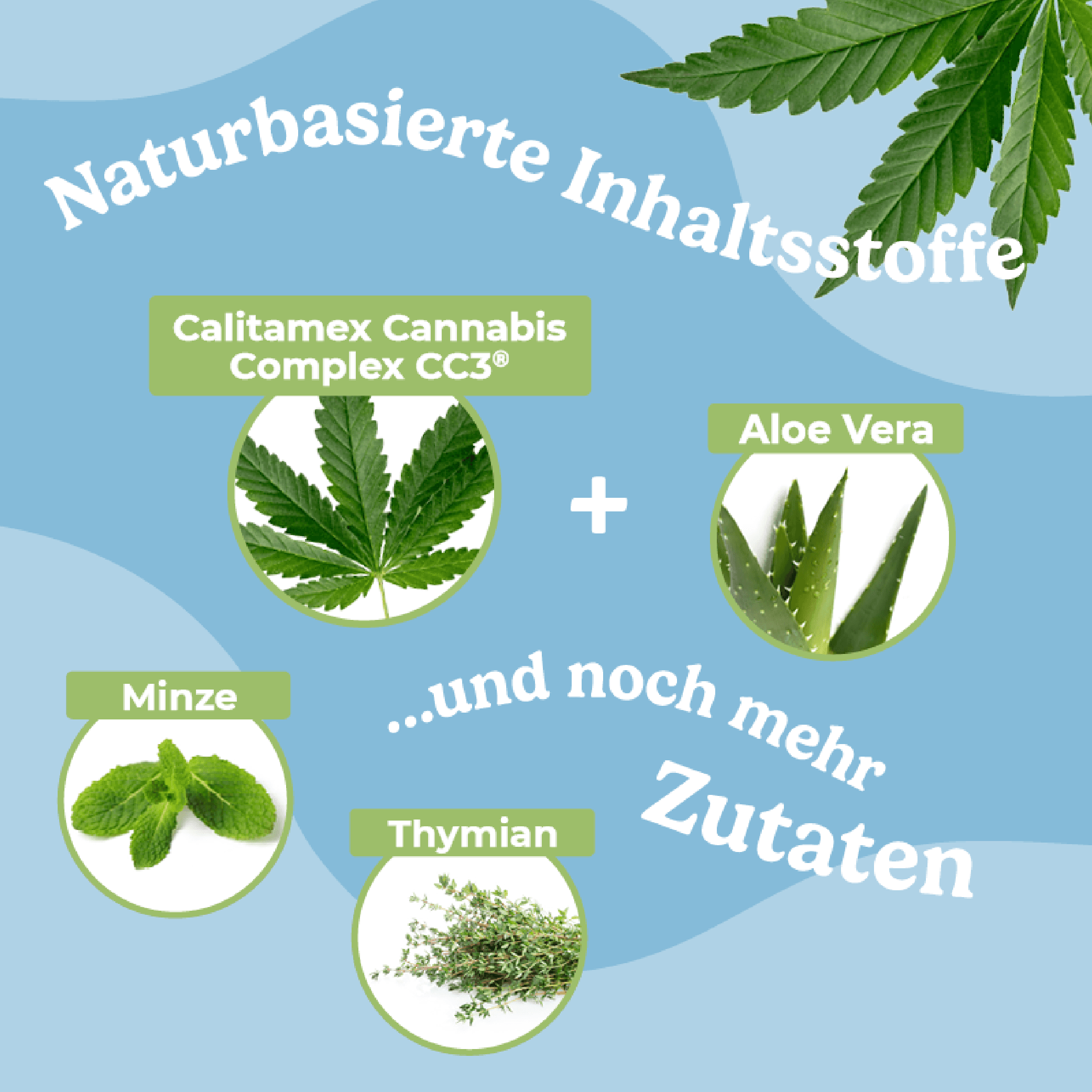 Produktbild Calitamex CBD Zahn Gel 2 von 3