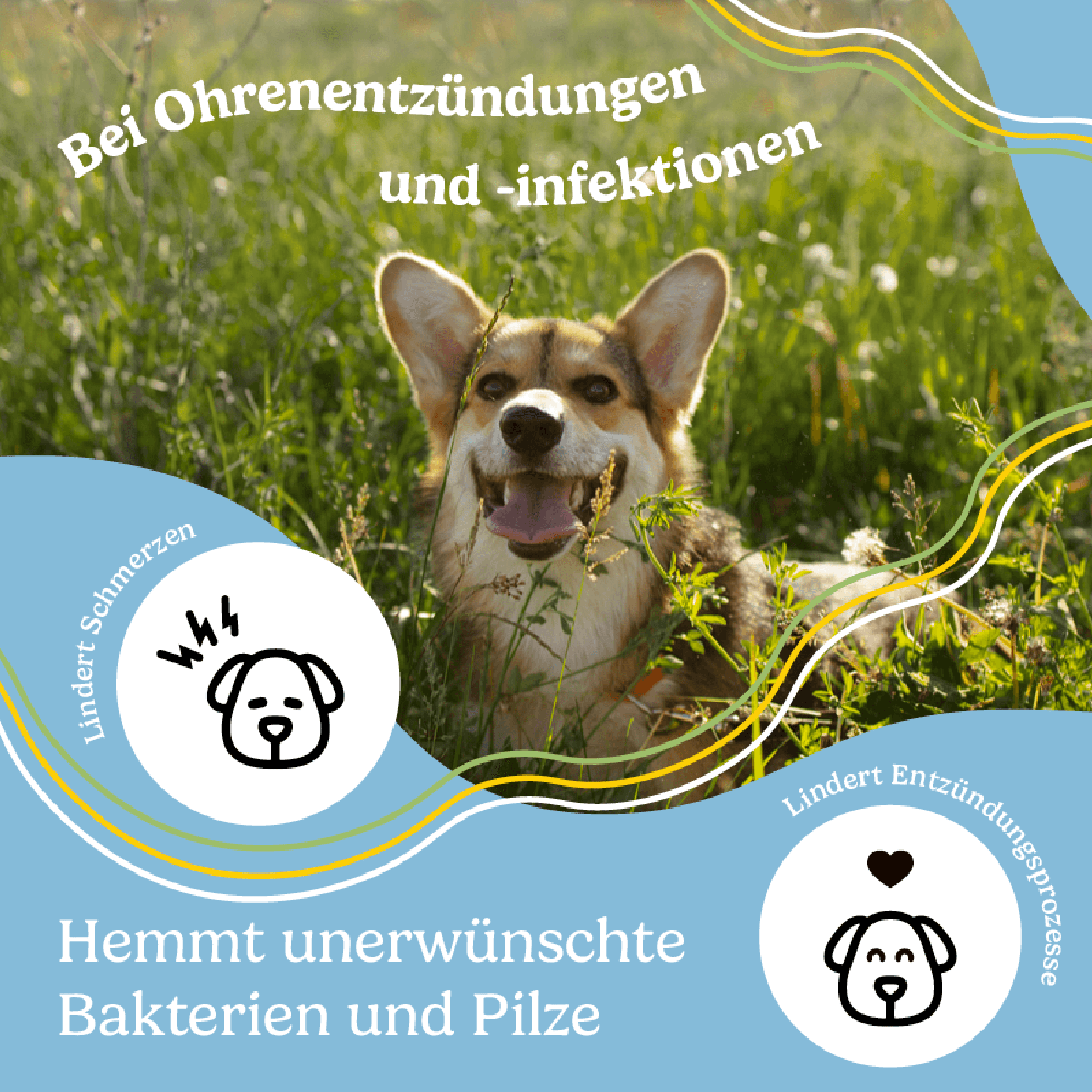 Produktbild Calitamex CBD Ohrentropfen 3 von 3