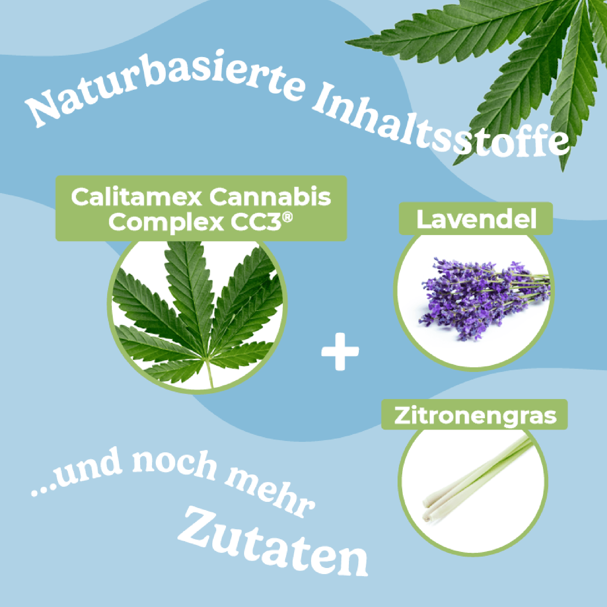 Produktbild Calitamex CBD Ohrentropfen 2 von 3