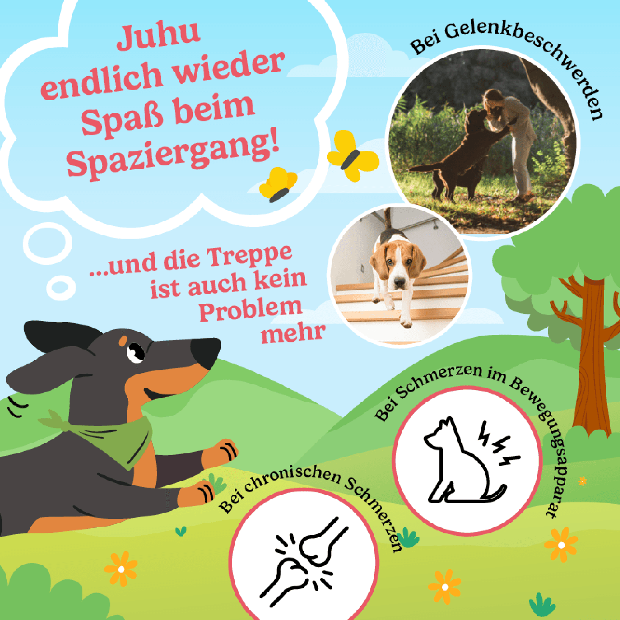 Produktbild Calitamex CBD Happies Mobilität 4 von 5