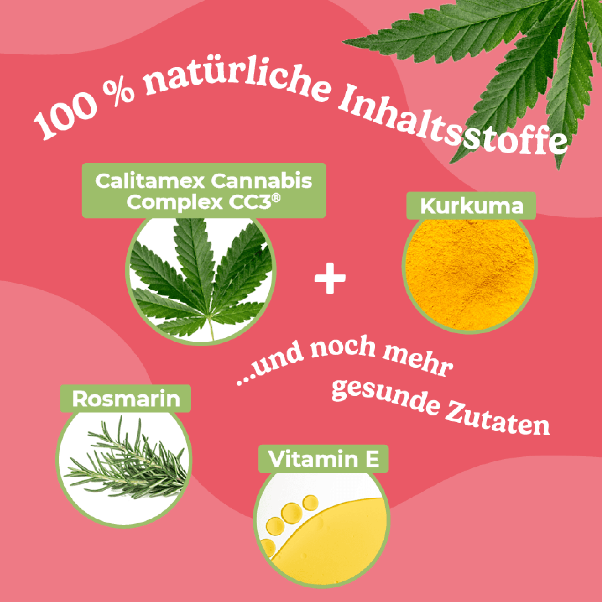 Produktbild Calitamex CBD Happies Mobilität 3 von 5