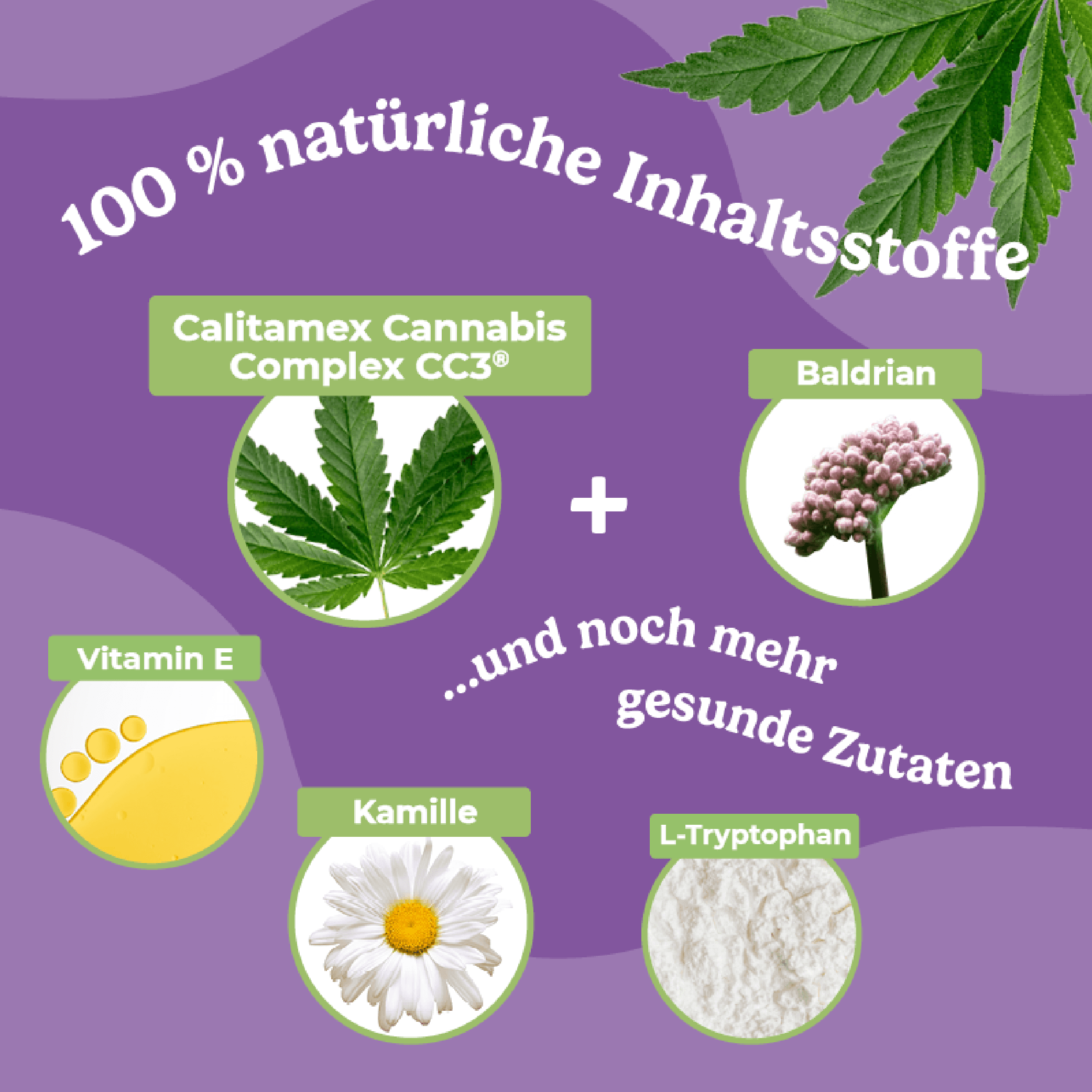 Produktbild Calitamex CBD Happies Beruhigung 3 von 5