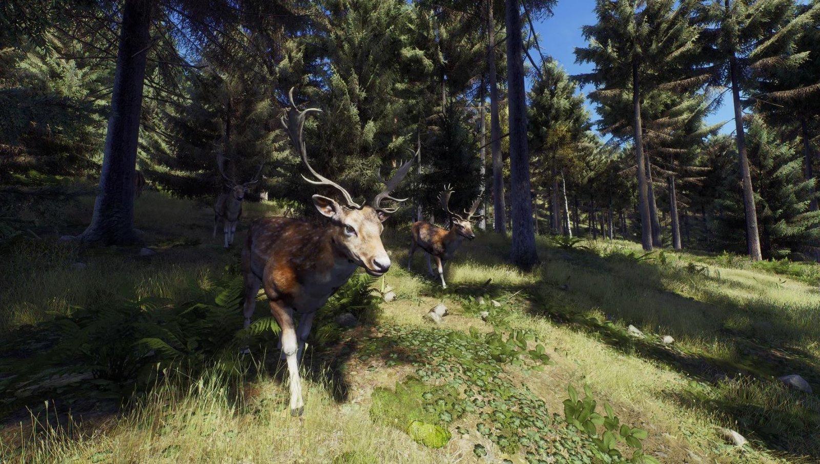 Produktbild Way of the Hunter - Hunting Season One 5 von 10