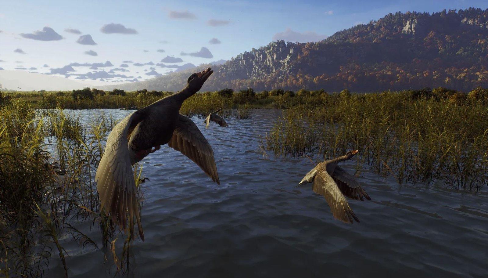 Produktbild Way of the Hunter - Hunting Season One 6 von 10