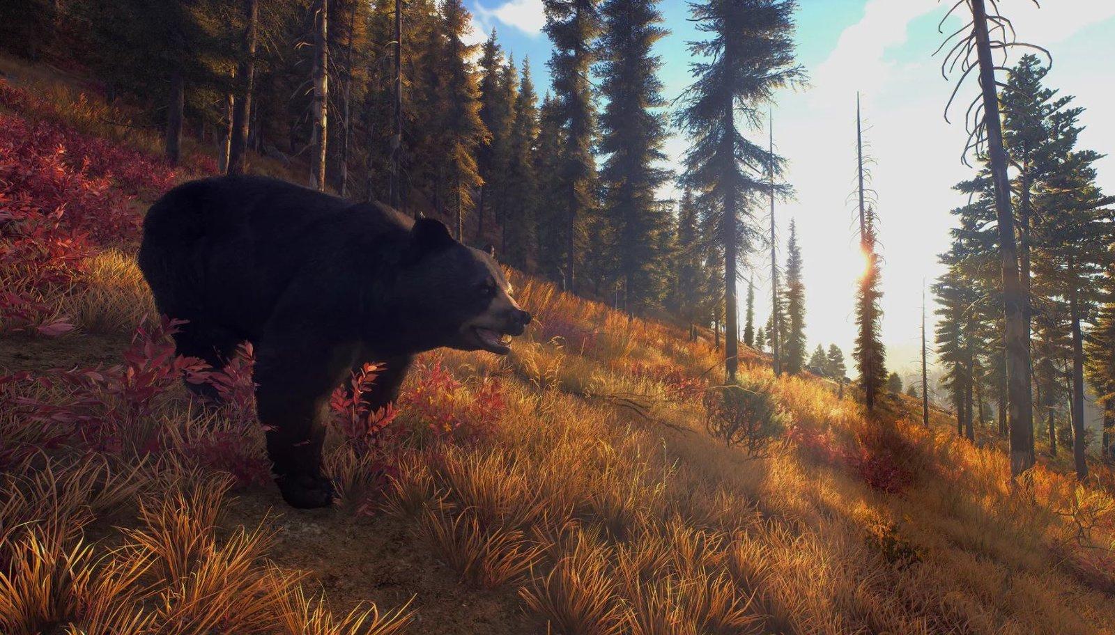 Produktbild Way of the Hunter - Hunting Season One 8 von 10