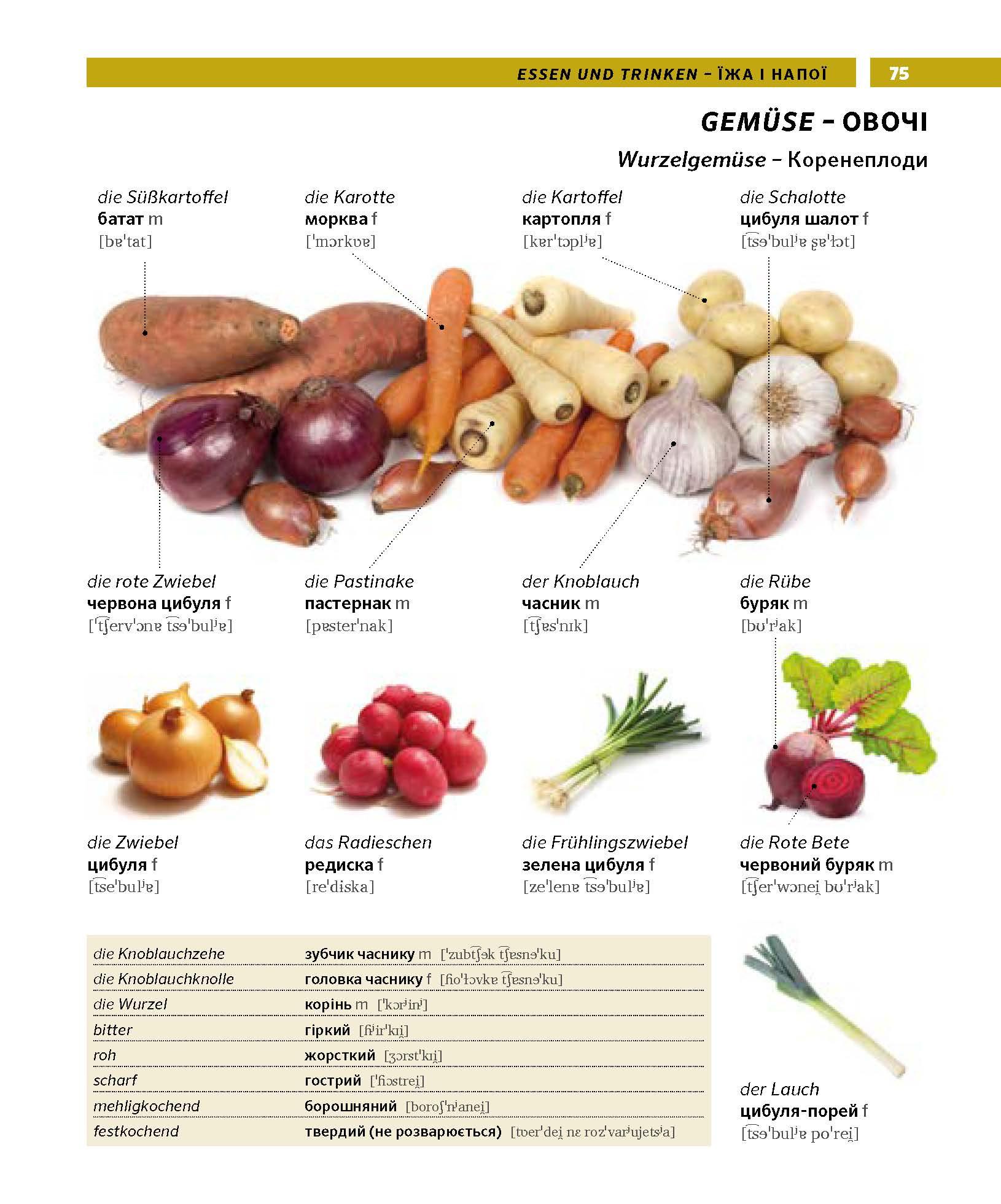 Produktbild PONS Bildwörterbuch Ukrainisch 3 von 8