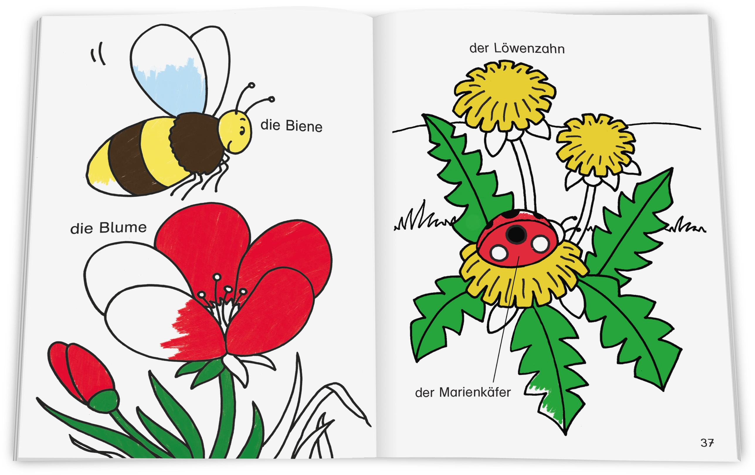 Produktbild Meine ersten deutschen Wörter. Ausmalen und Lernen 2 von 2