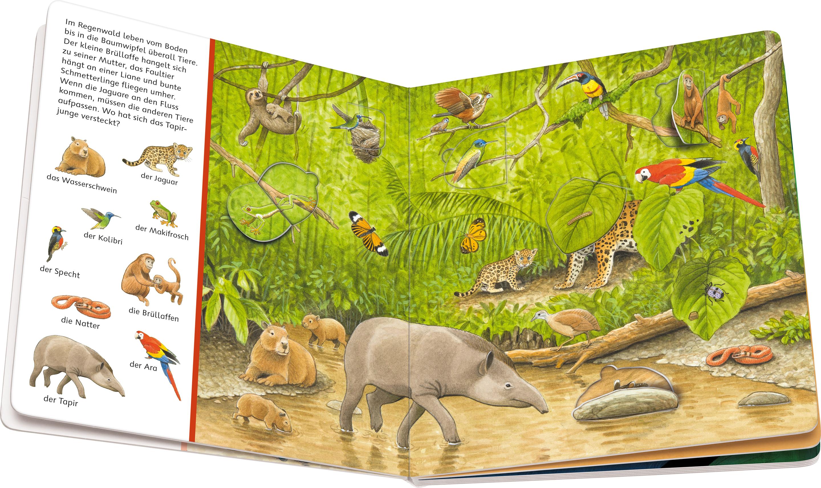 Produktbild Mein Sachen suchen Wimmelbuch: Tiere und ihre Kinder 2 von 3