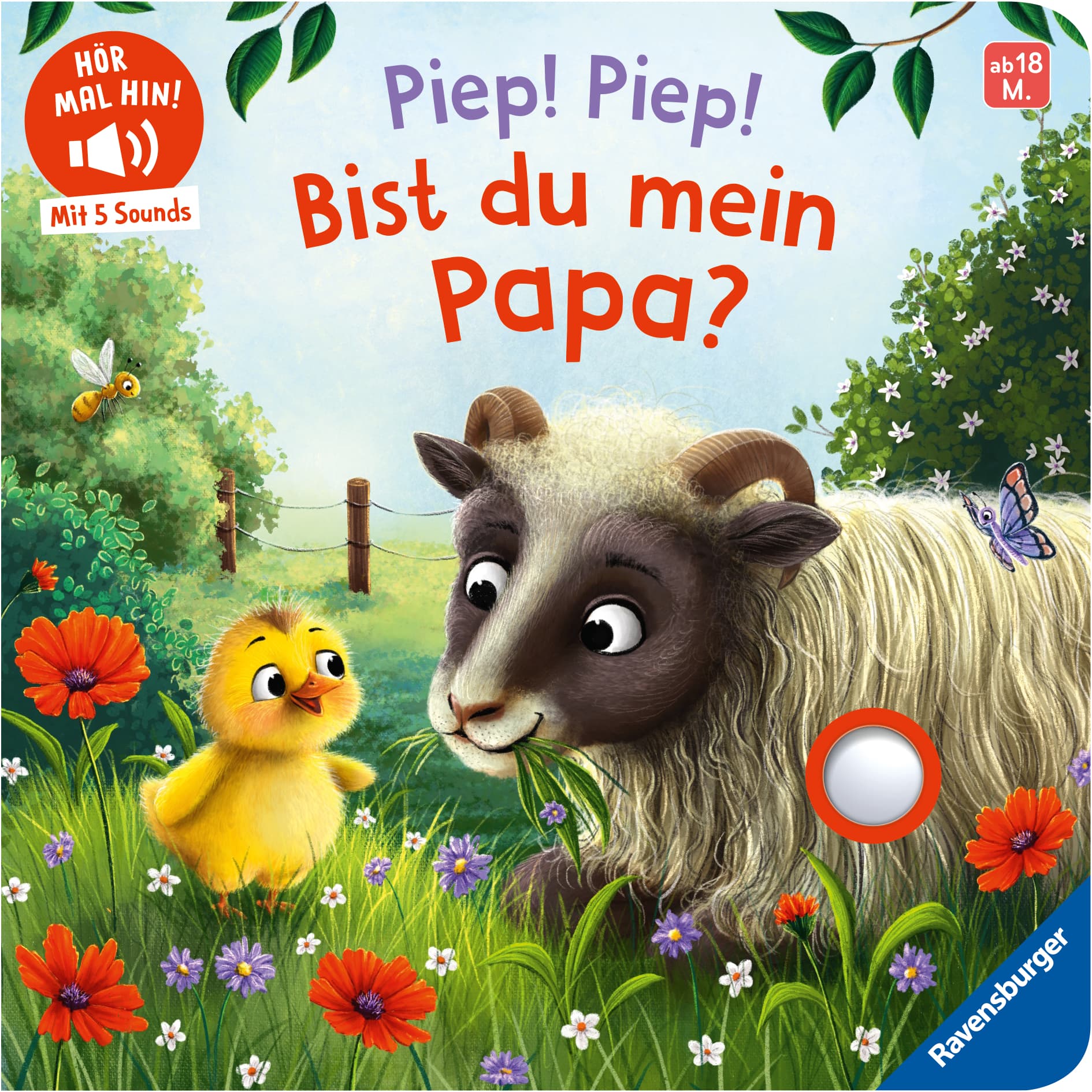 Hör mal hin - Piep! Piep! Bist du mein Papa?