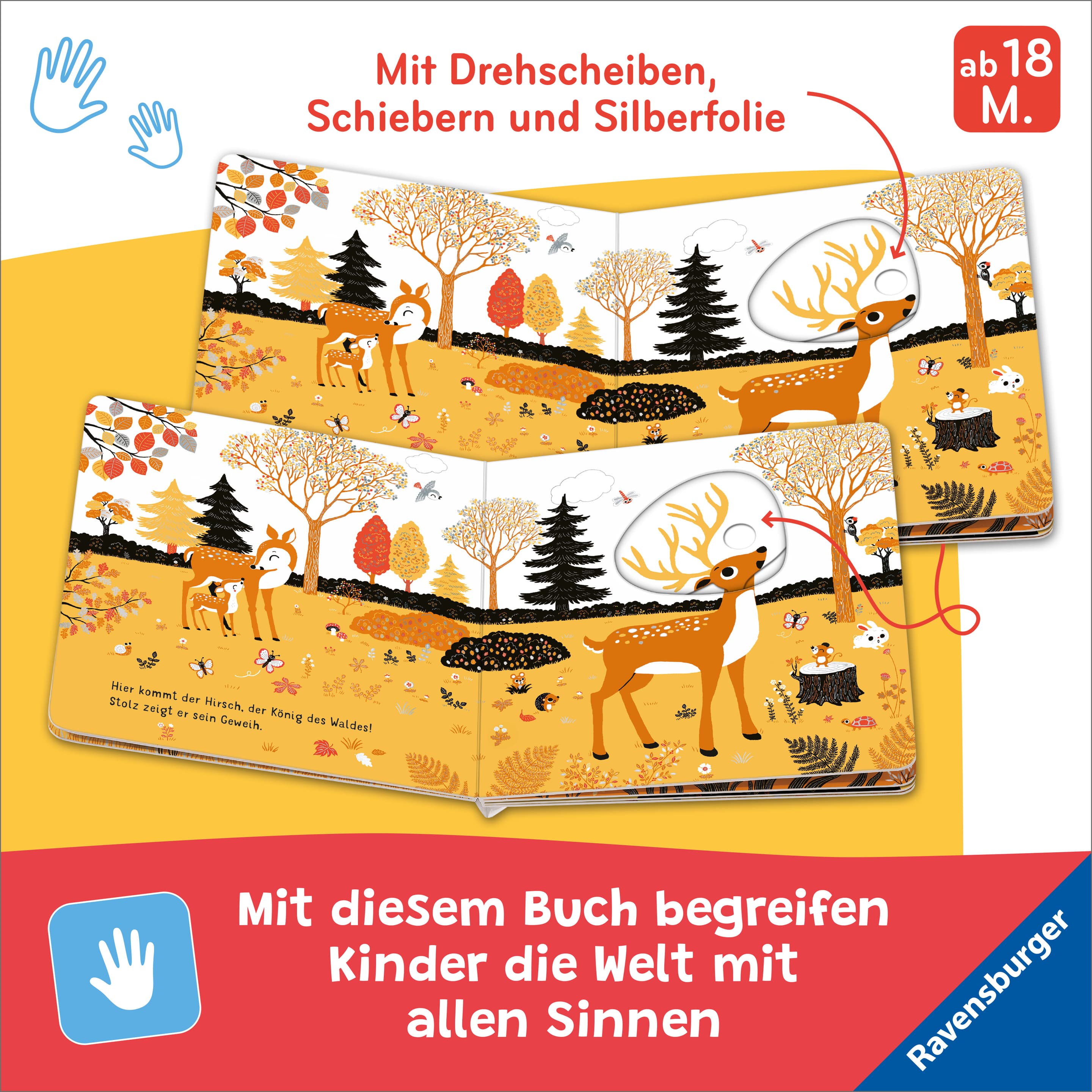 Produktbild Mein erstes Glitzerbuch - Im Wald 5 von 7