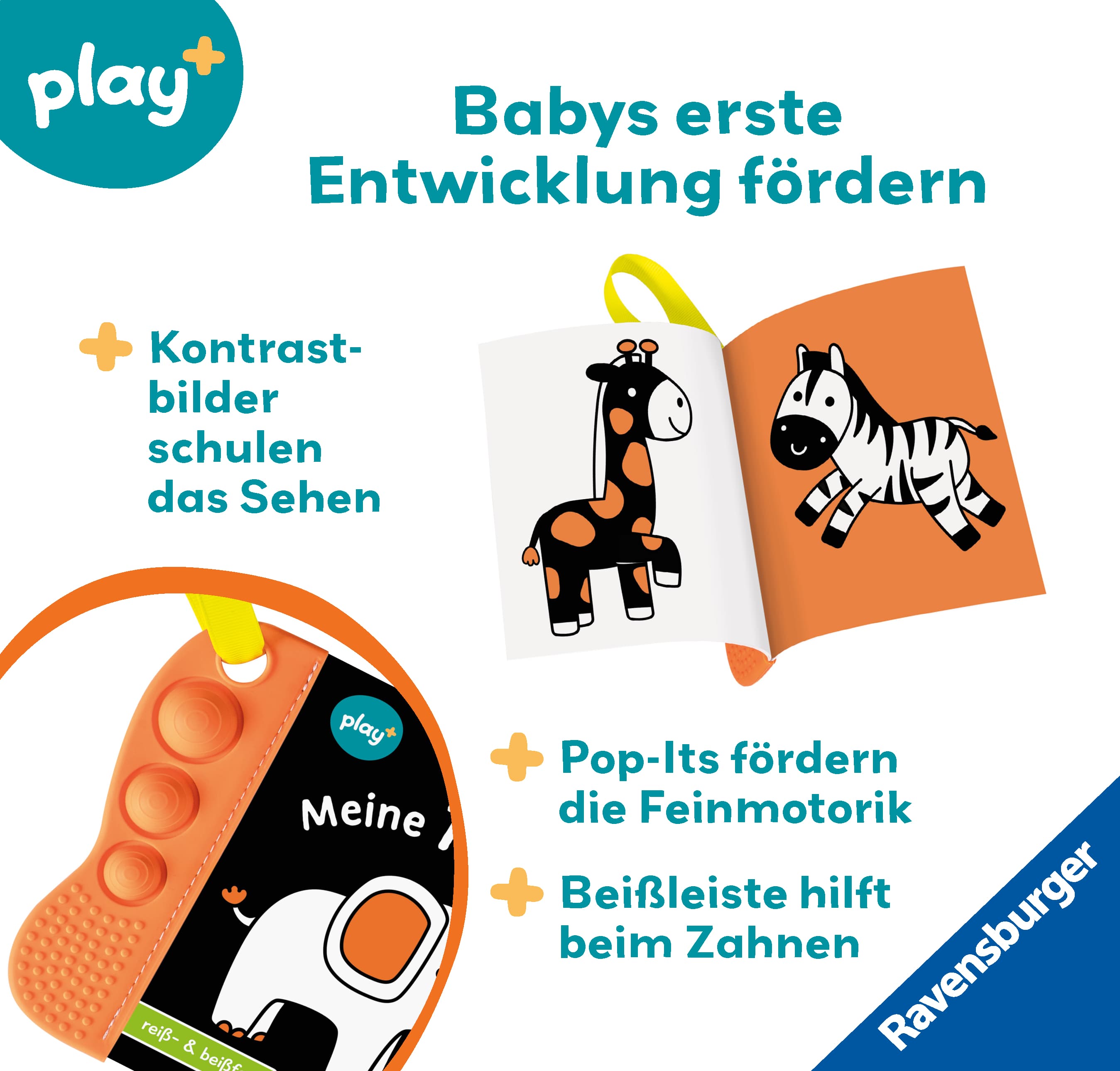Produktbild Play+ flip&pop Meine Tiere - ab 6 Monate 5 von 10