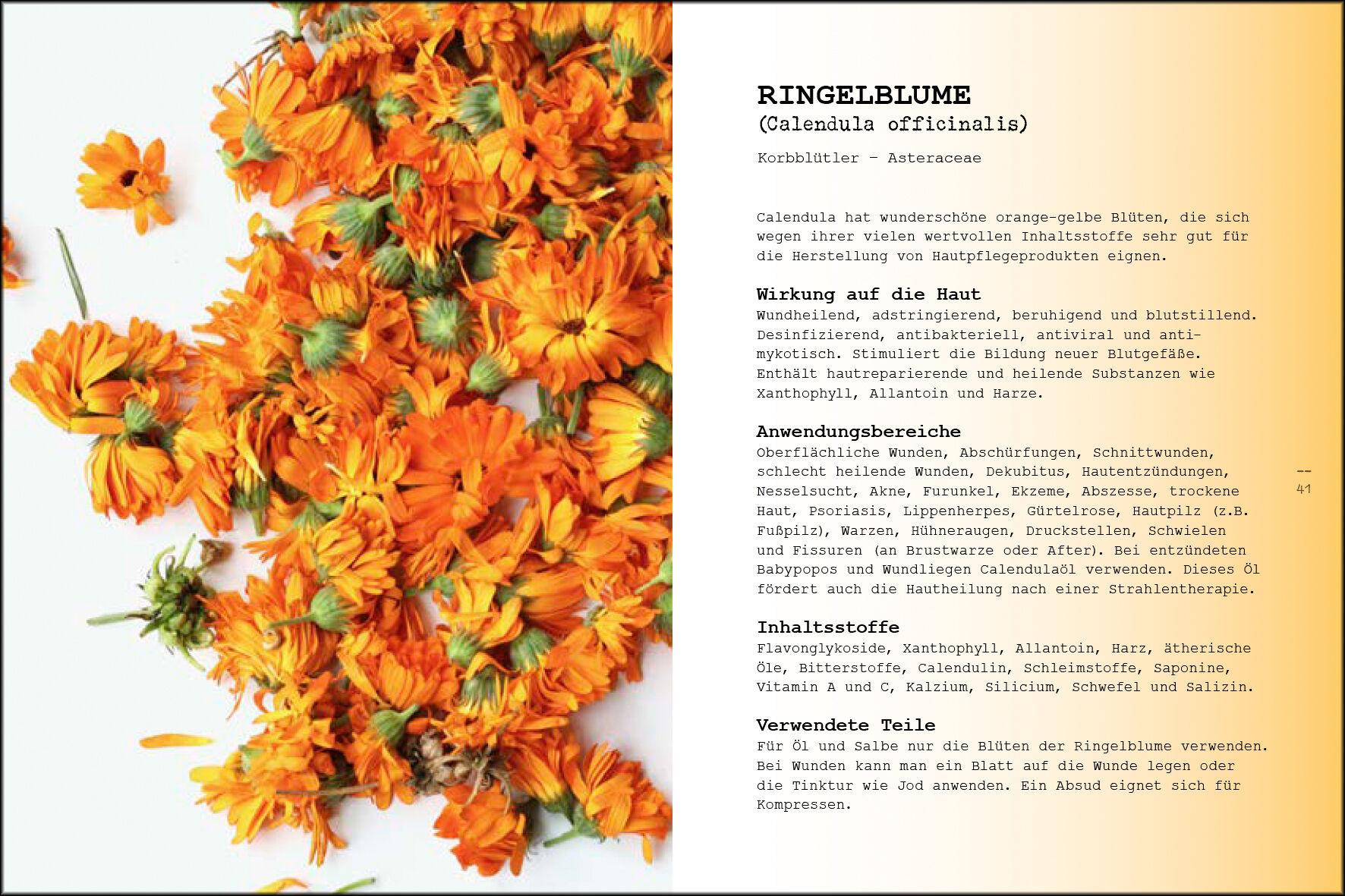Produktbild Naturkosmetik 2 von 7