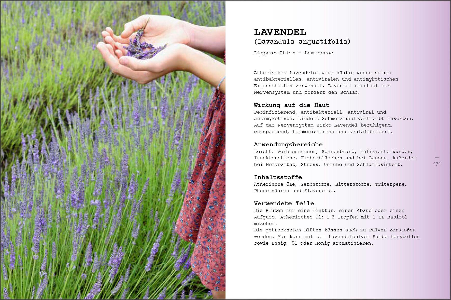Produktbild Naturkosmetik 7 von 7