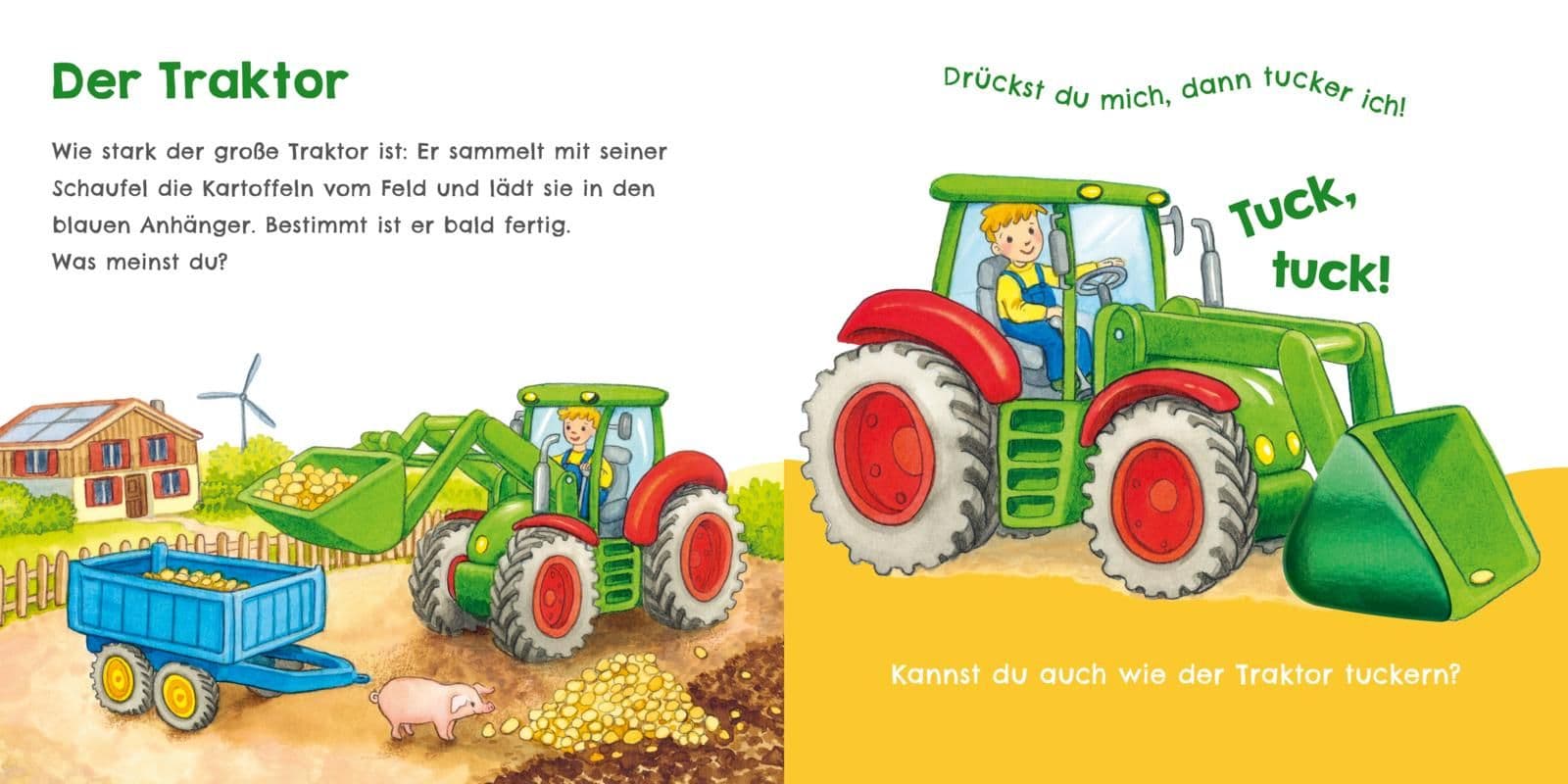 Hör mal, wie ich hupen kann (Mein erstes Streichel-Soundbuch 6)