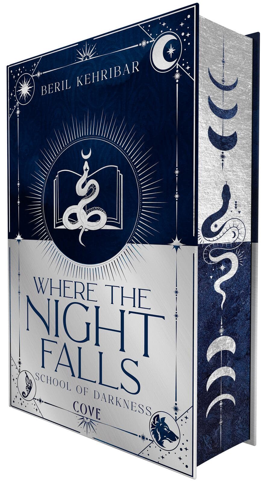 Where the Night Falls (School of Darkness 1)