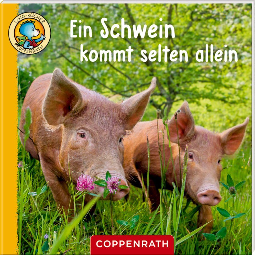 Produktbild Coppenrath Verlag - Lino-Bücher Box Nr. 67, Linos Bauernhof-Bildergeschichten 2 von 6