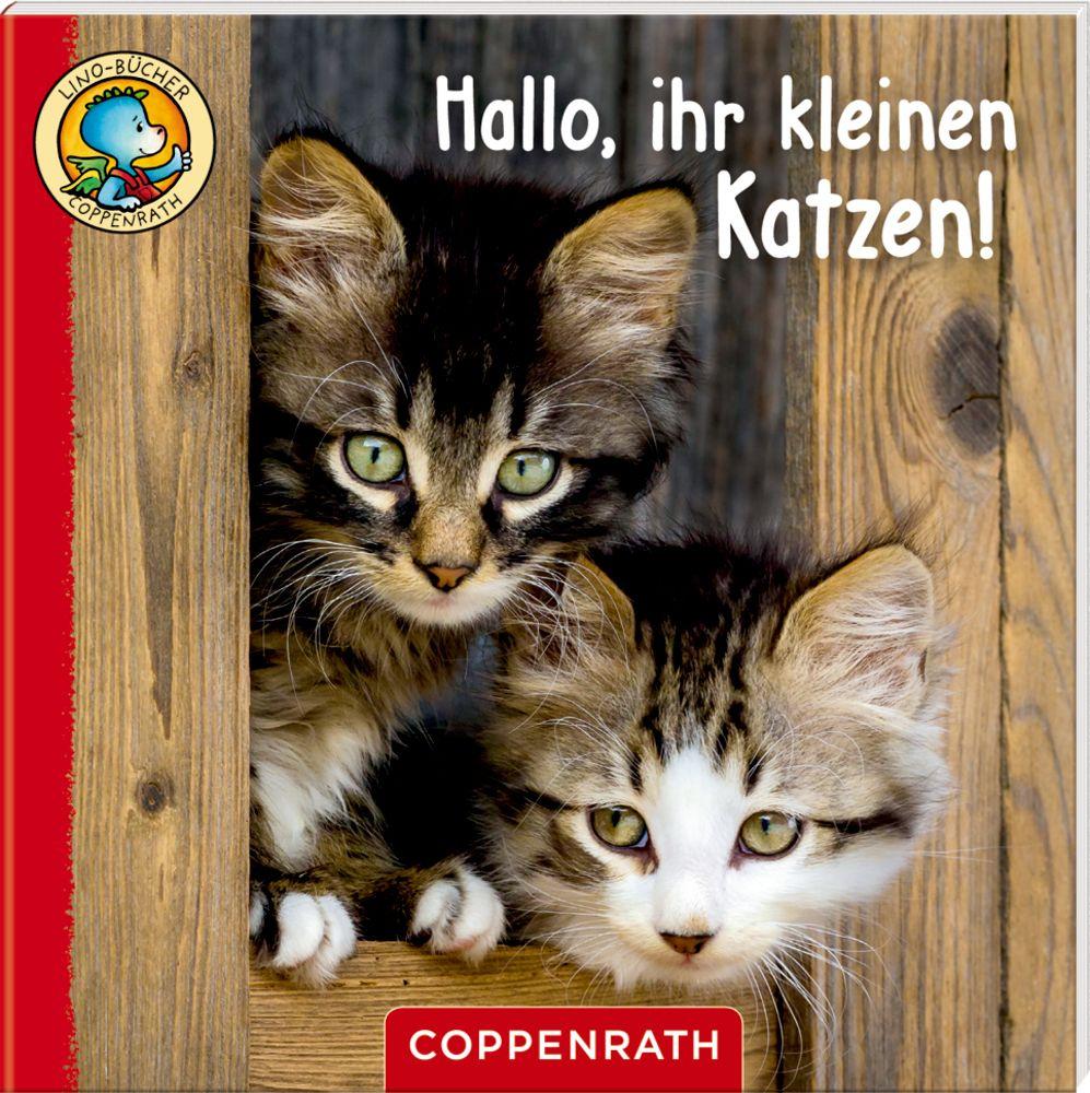 Produktbild Coppenrath Verlag - Lino-Bücher Box Nr. 67, Linos Bauernhof-Bildergeschichten 3 von 6
