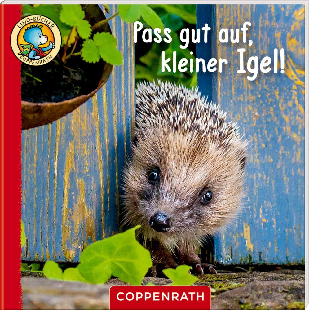 Produktbild Coppenrath Verlag - Lino-Bücher Box Nr. 67, Linos Bauernhof-Bildergeschichten 4 von 6