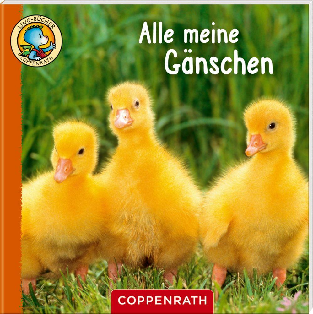 Produktbild Coppenrath Verlag - Lino-Bücher Box Nr. 67, Linos Bauernhof-Bildergeschichten 6 von 6