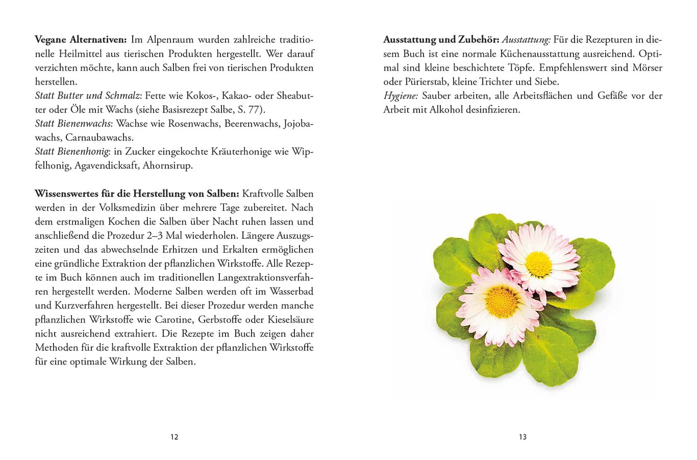 Produktbild Das kleine Buch: Heilsalben aus Wald und Wiese 2 von 3