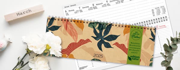 Produktbild Tischkalender Edition Natur Dschungel 2025 quer 2 von 3