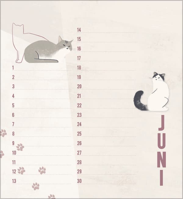 Produktbild Geburtstagskalender Cats 5 von 6
