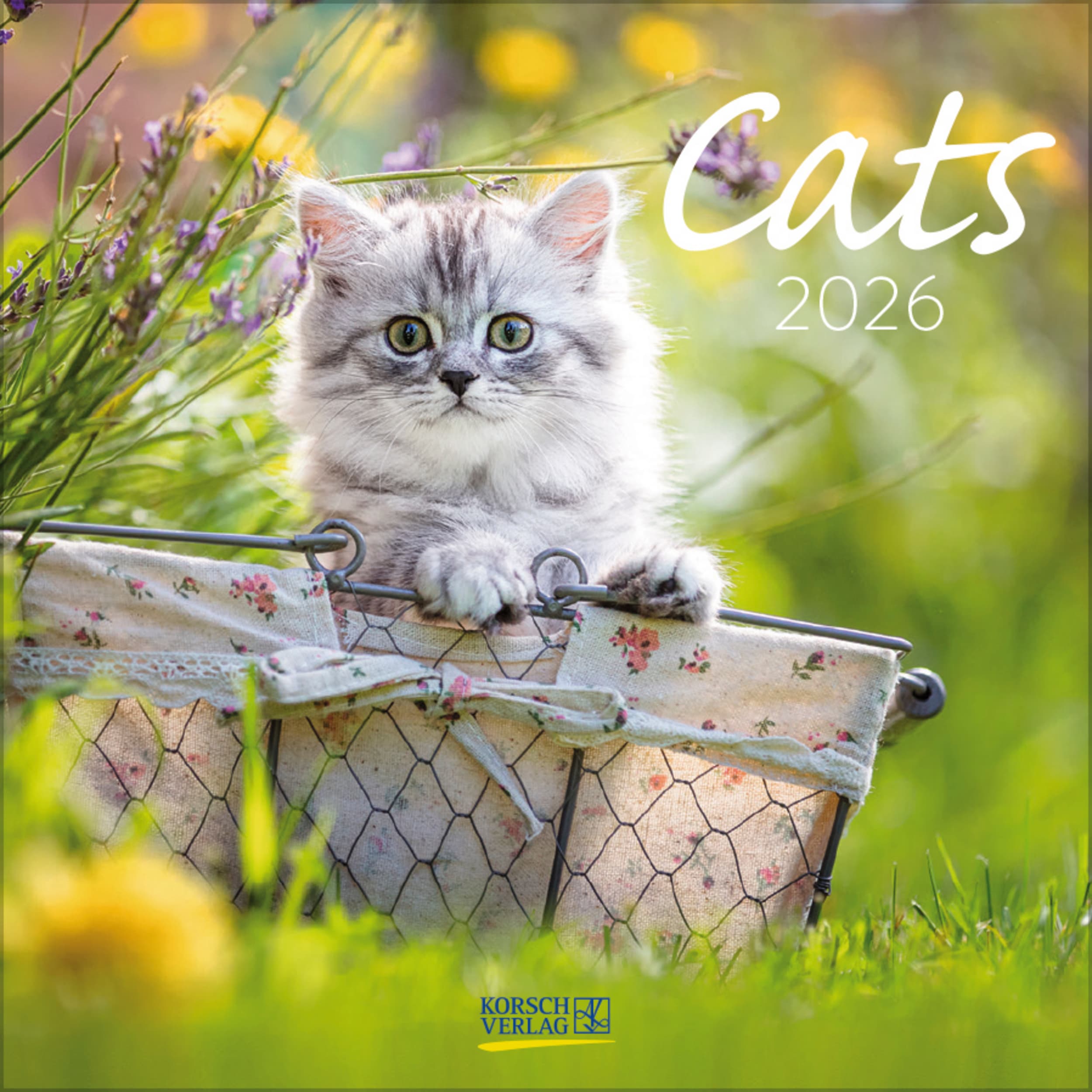 Cats 2026