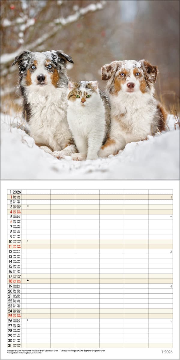 Produktbild Tierfreundschaften - Familientimer 2026 12 von 13