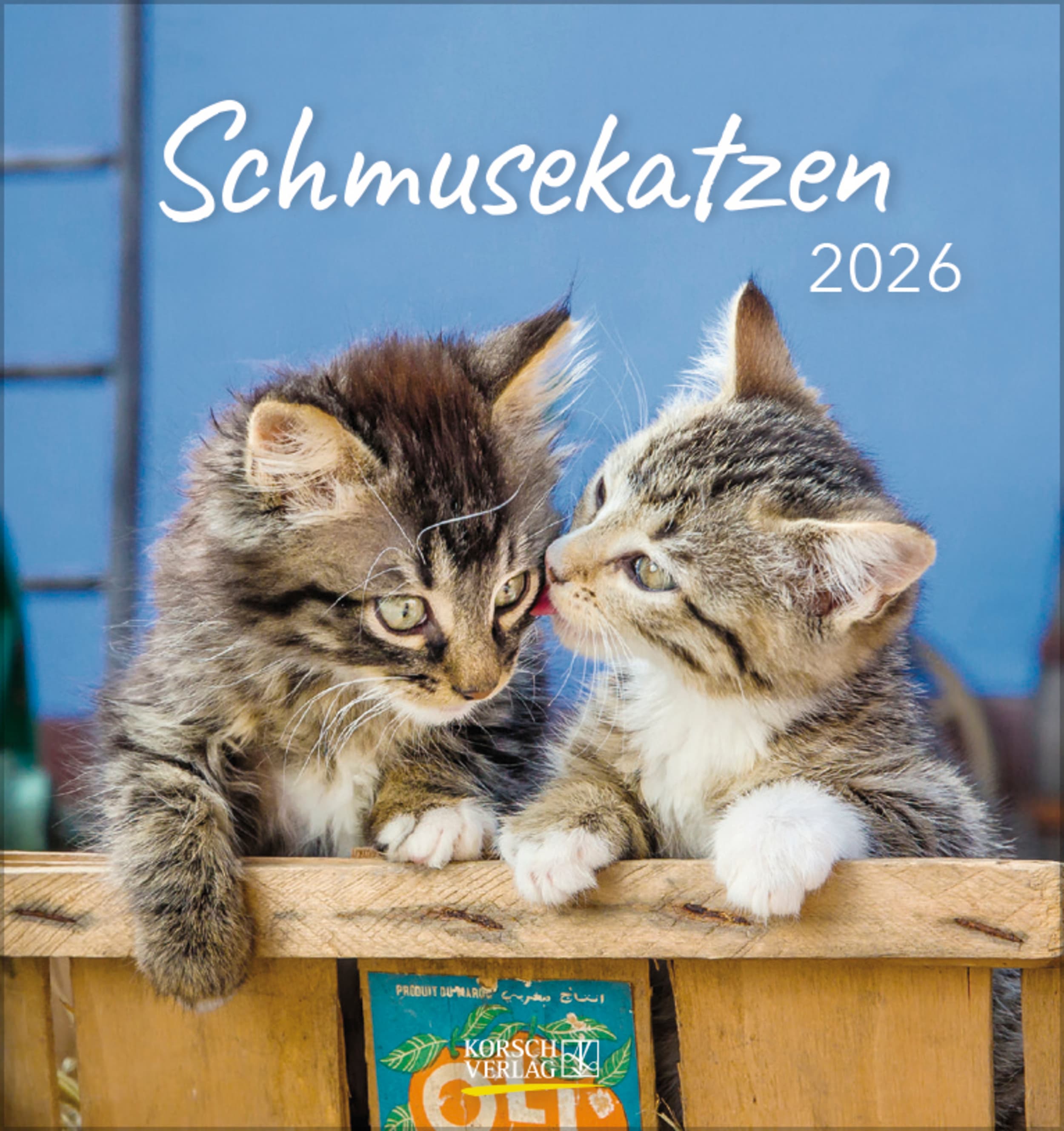 Schmusekatzen 2026