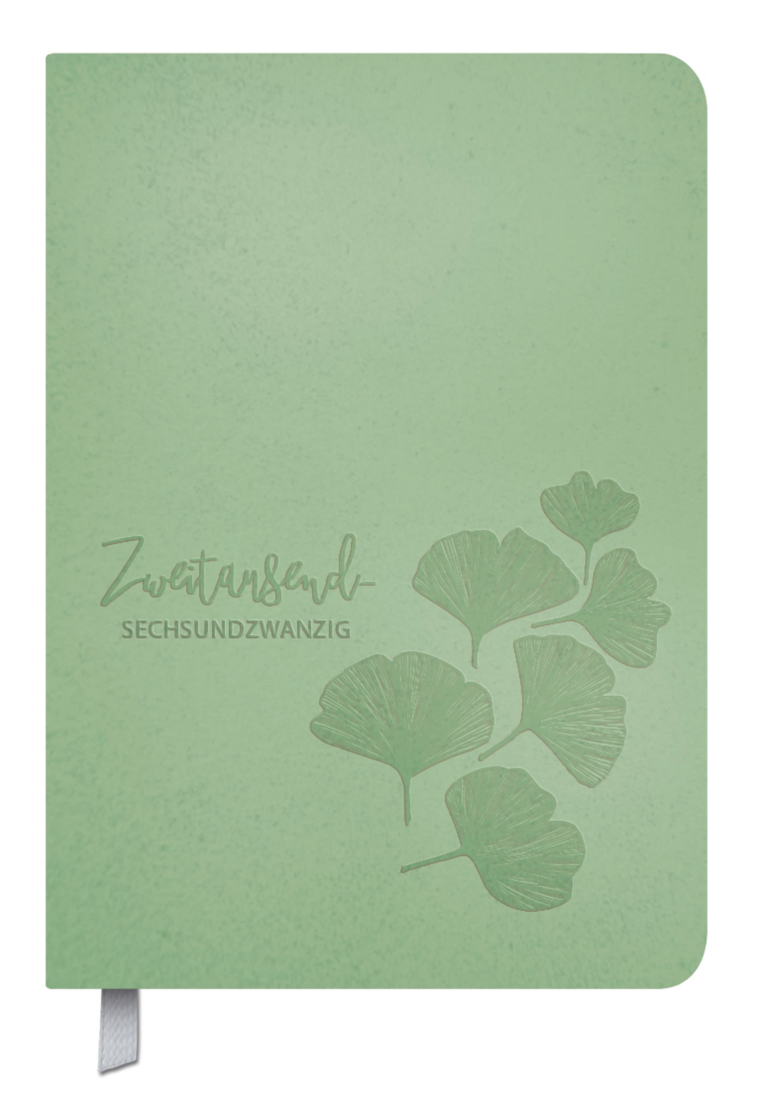 Timer Soft Touch 18 Monate jade 2026/2027