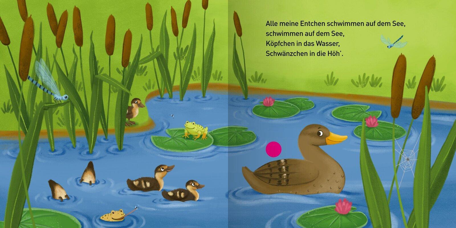 Produktbild Mein kleines Soundbuch - Kinderlieder 3 von 3