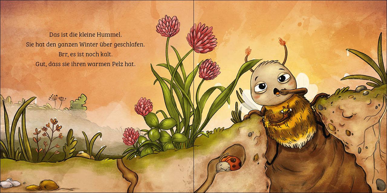 Produktbild Mein erstes Naturbuch - Die Hummel 2 von 4