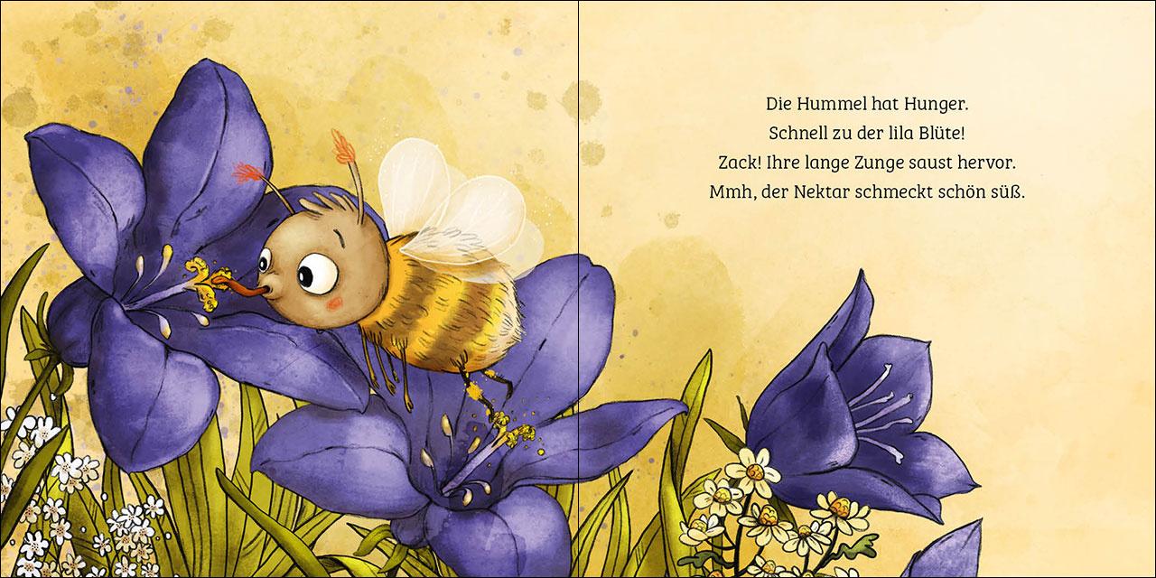 Produktbild Mein erstes Naturbuch - Die Hummel 3 von 4