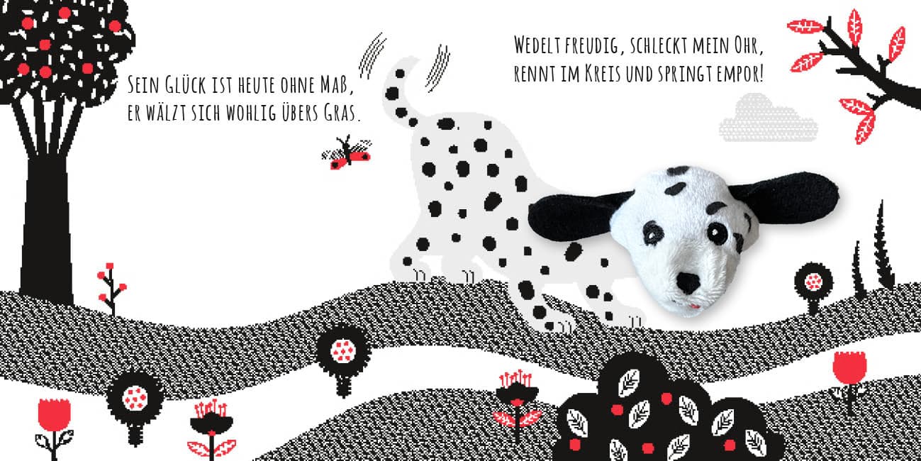Produktbild Kontrastbuch für Babys mit Fingerpuppe: Guck mal, kleiner Hund 5 von 6