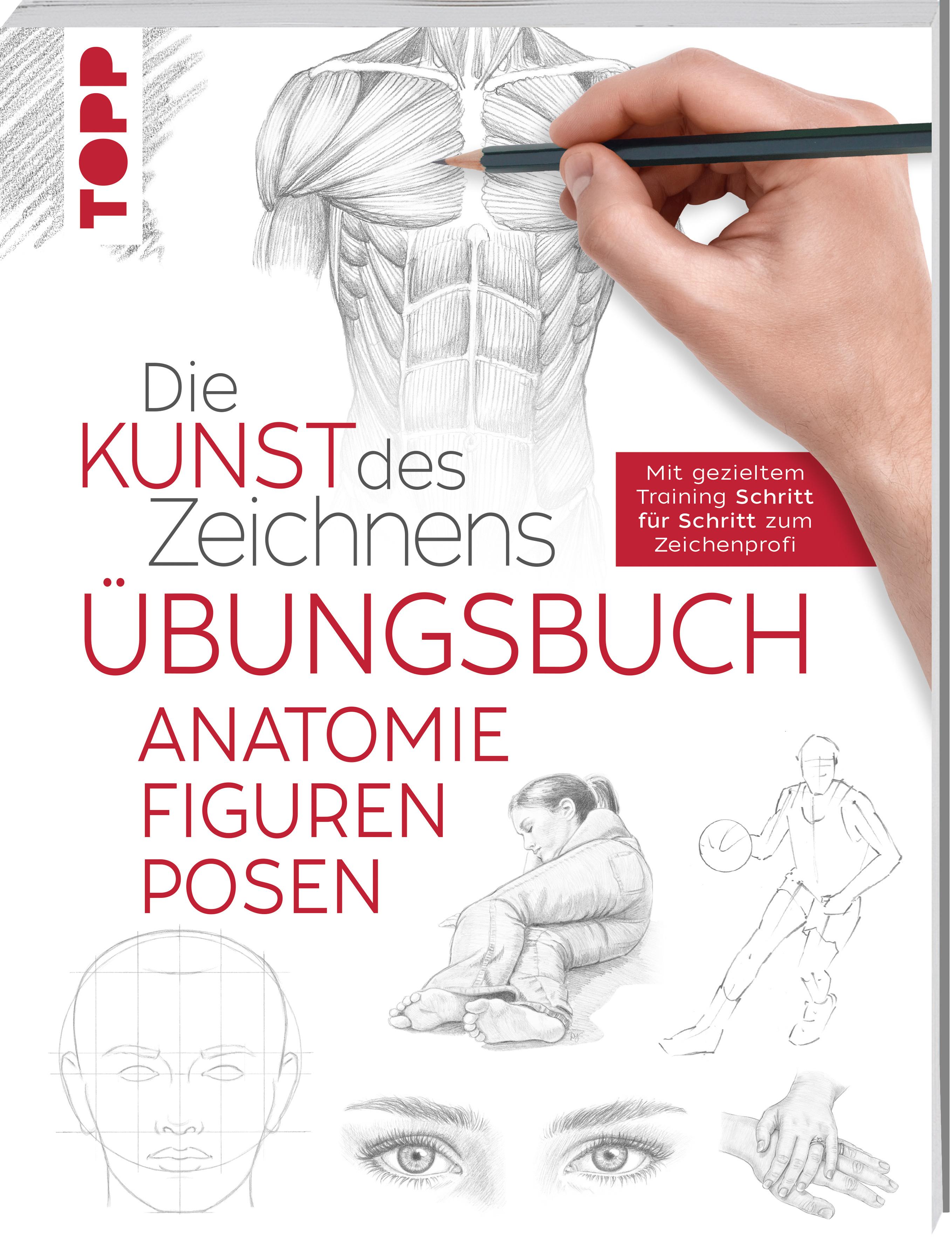 Die Kunst des Zeichnens - Anatomie Figuren Posen Übungsbuch Mit gezieltem Training Schritt für Schritt erklärt