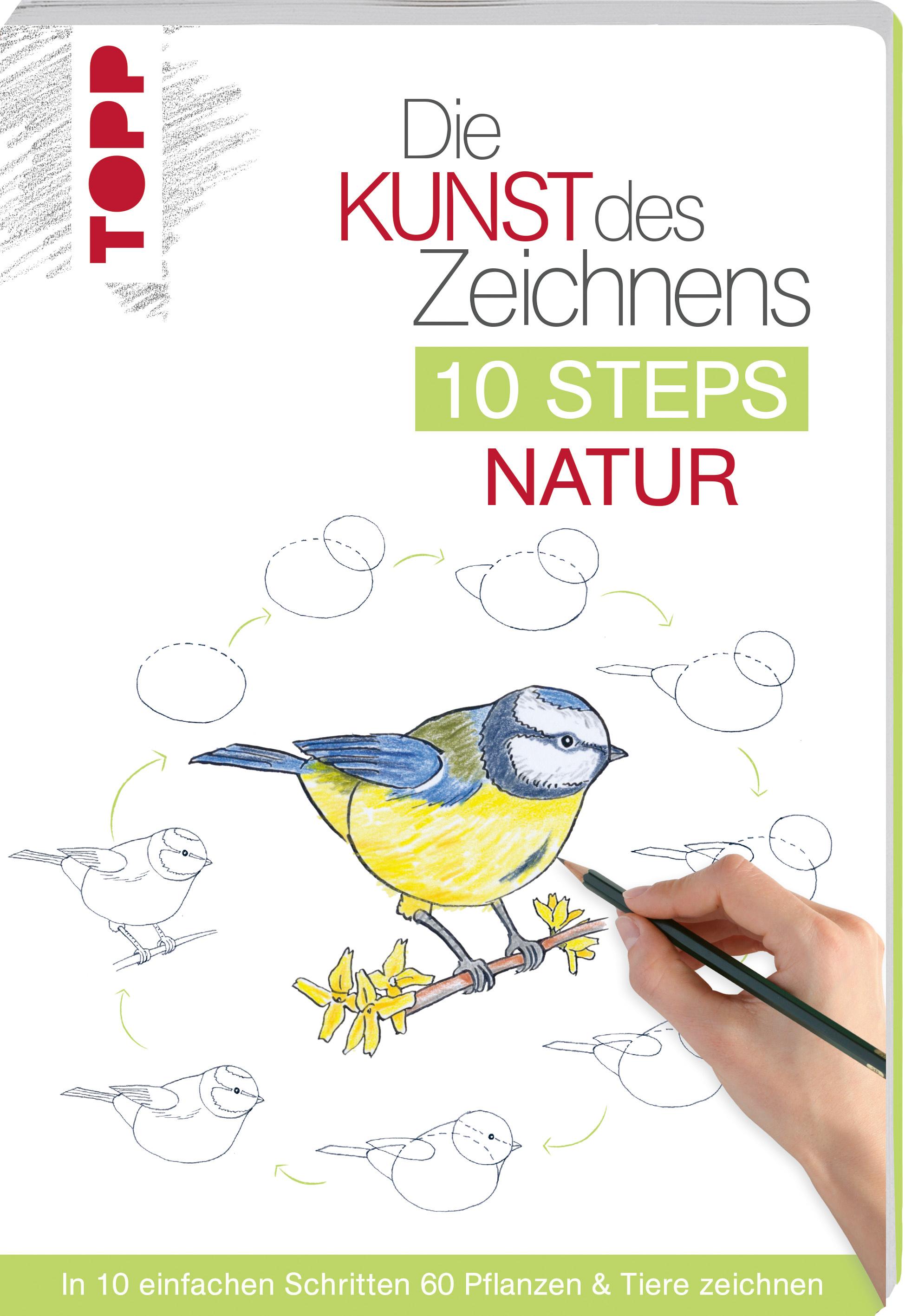 Die Kunst des Zeichnens 10 Steps - Natur In 10 einfachen Schritten 60 Pflanzen&Tiere zeichnen