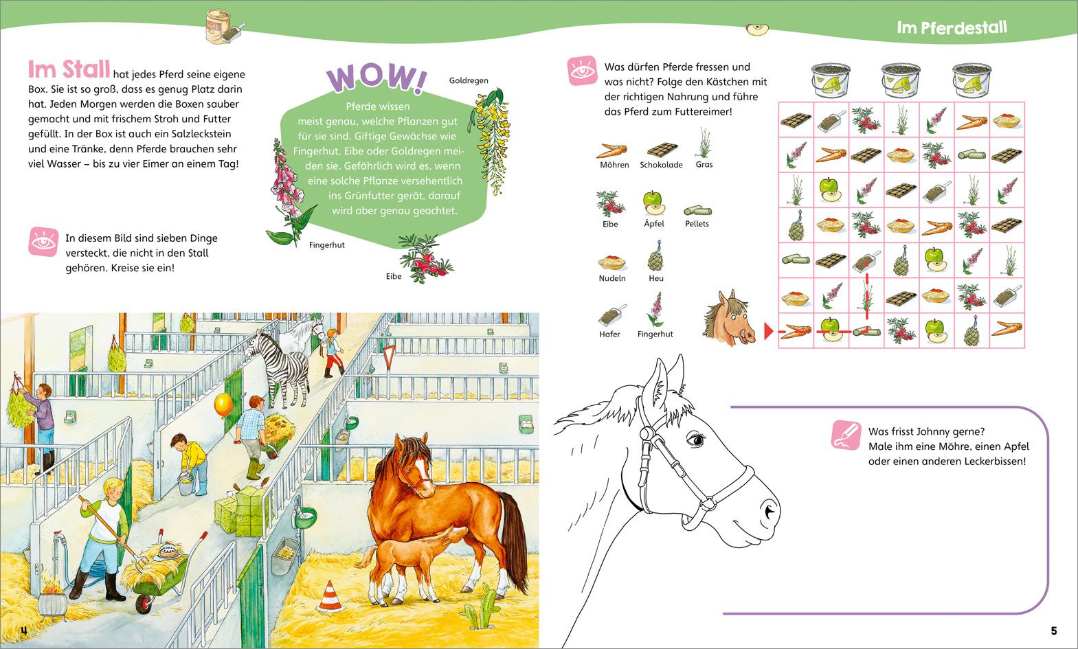 Produktbild WAS IST WAS Junior Mitmach-Heft Pferde&Ponys 2 von 4