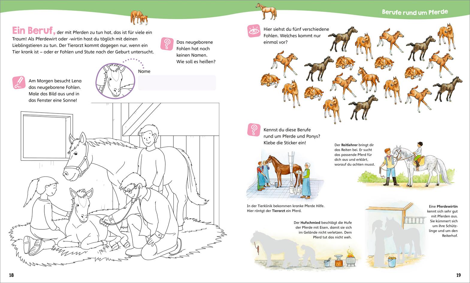 Produktbild WAS IST WAS Junior Mitmach-Heft Pferde&Ponys 4 von 4