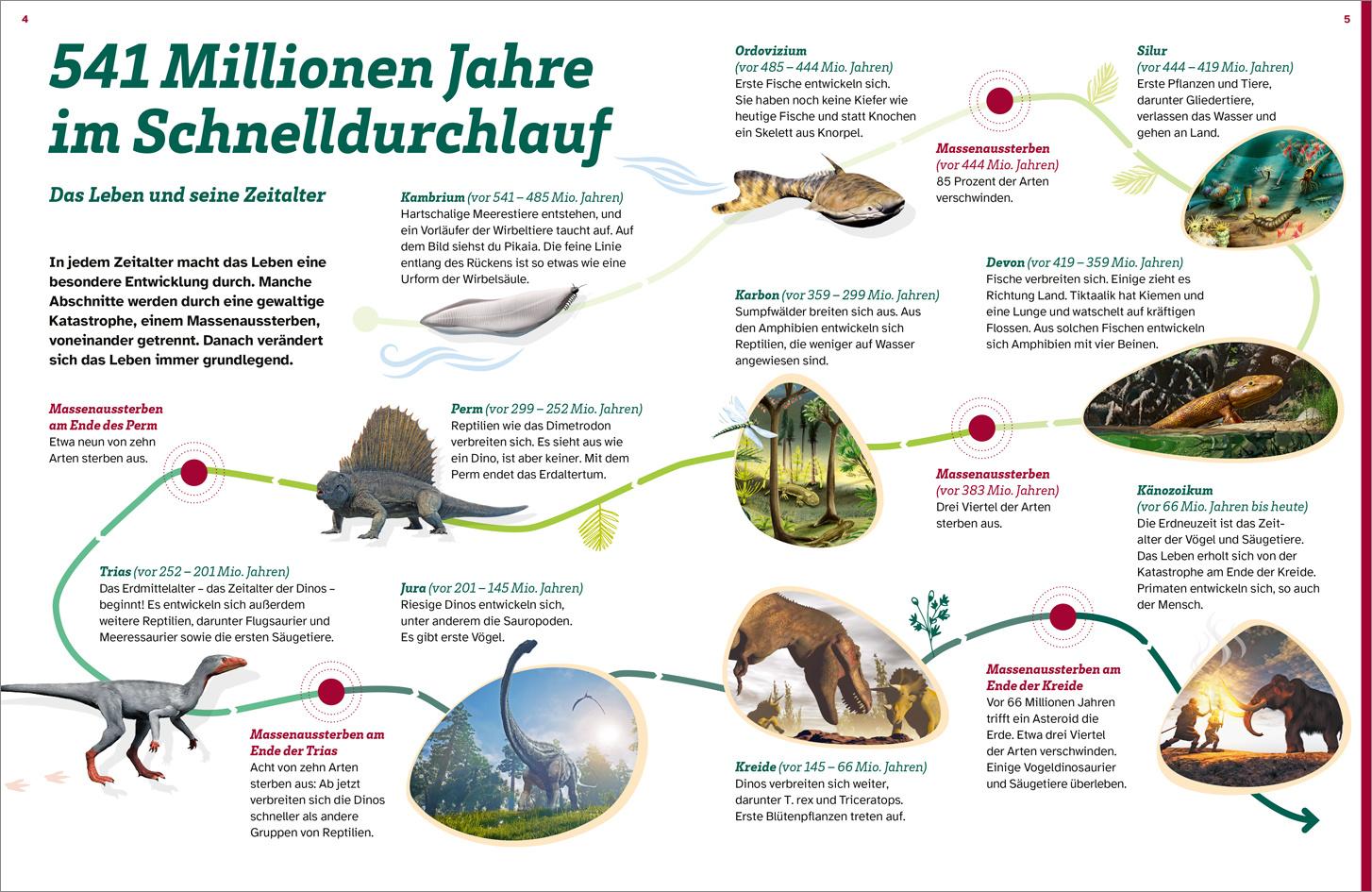 Produktbild WAS IST WAS Dinosaurier. Superechsen der Urzeit 4 von 4
