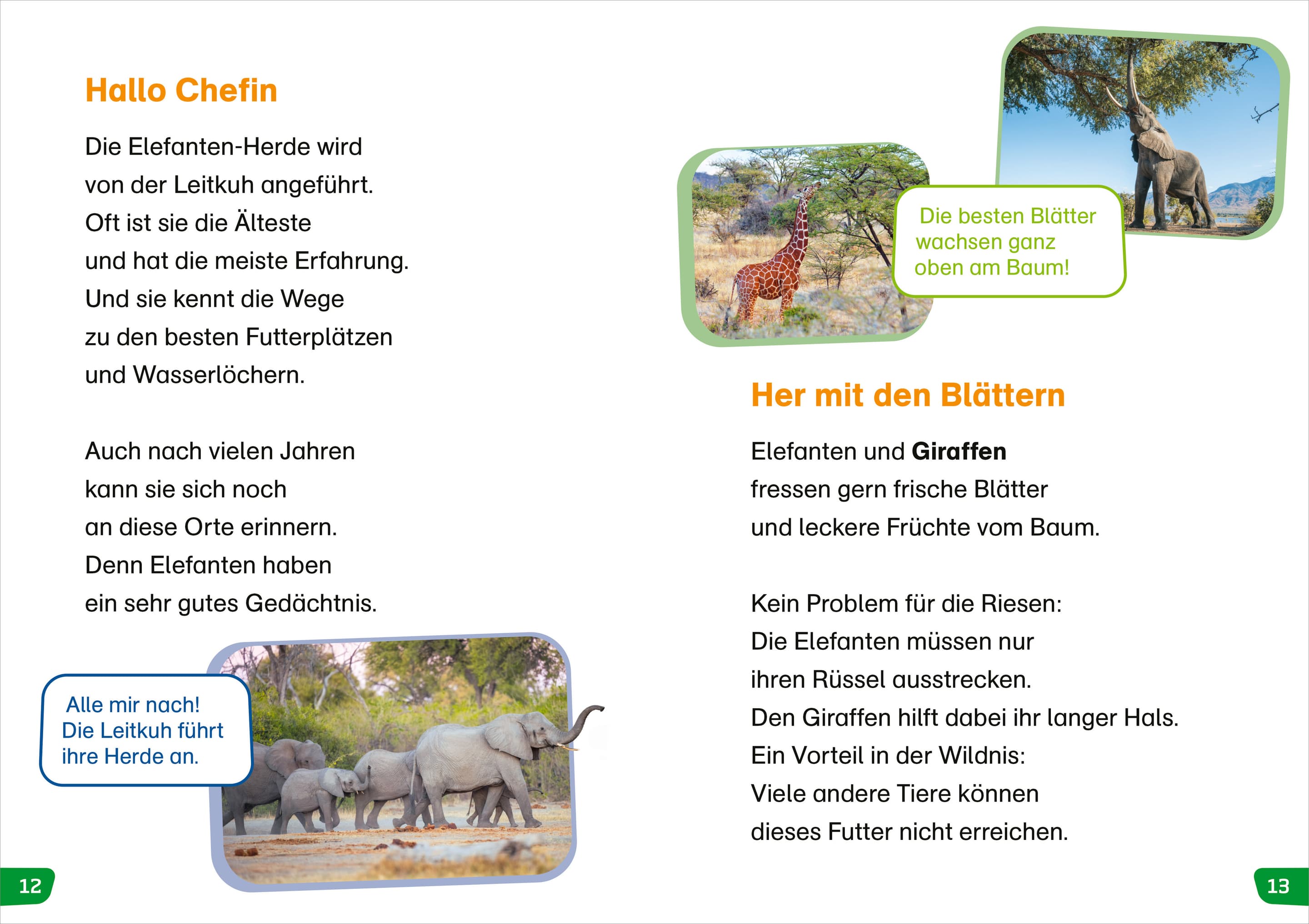 Produktbild WAS IST WAS Erstes Lesen easy! Tiere in Afrika 3 von 4