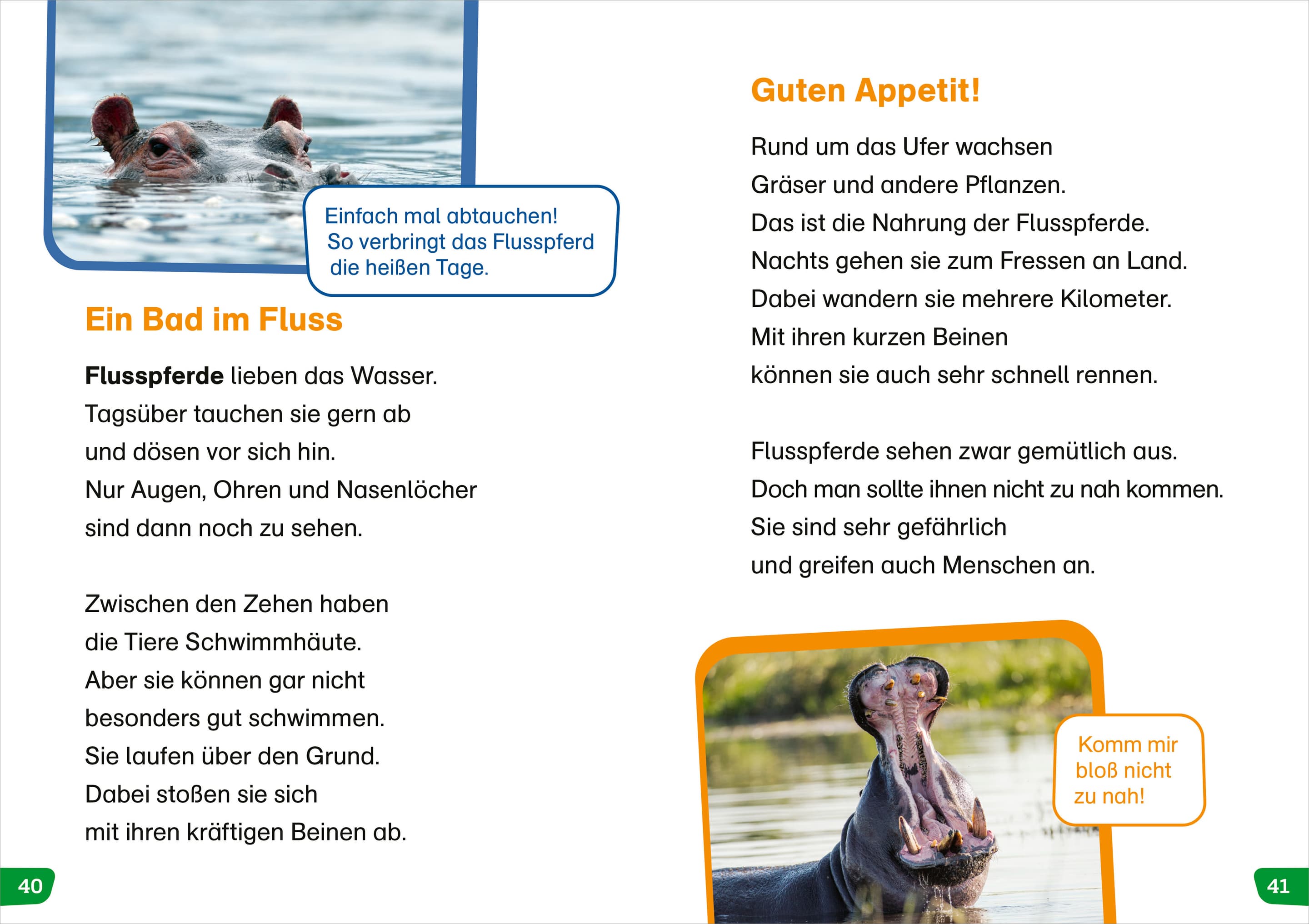 Produktbild WAS IST WAS Erstes Lesen easy! Tiere in Afrika 2 von 4