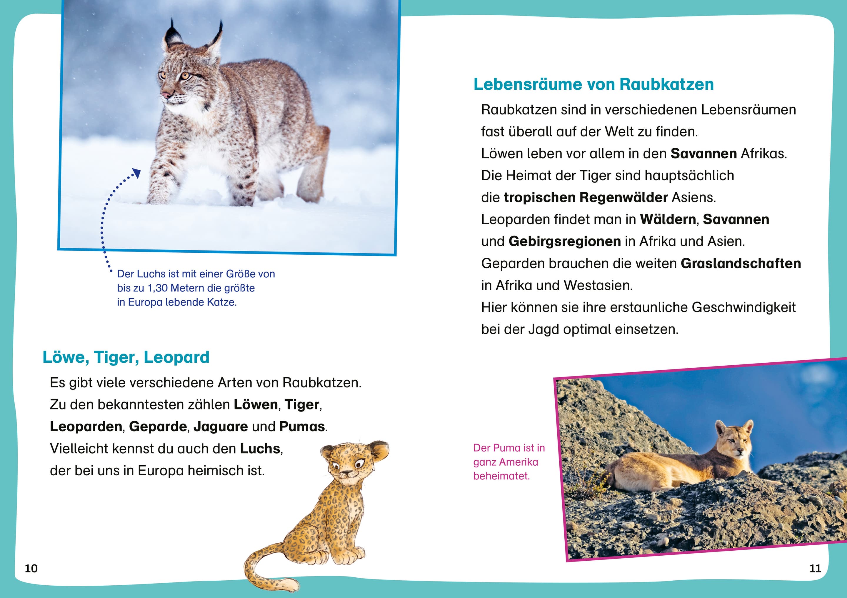 Produktbild WAS IST WAS Erstes Lesen Leserätsel Heft 10. Raubkatzen 3 von 4