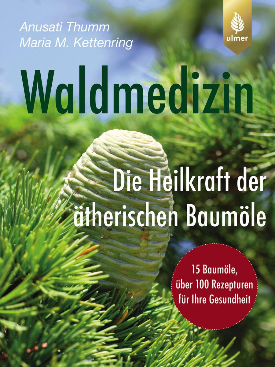 Waldmedizin – Die Heilkraft der ätherischen Baumöle