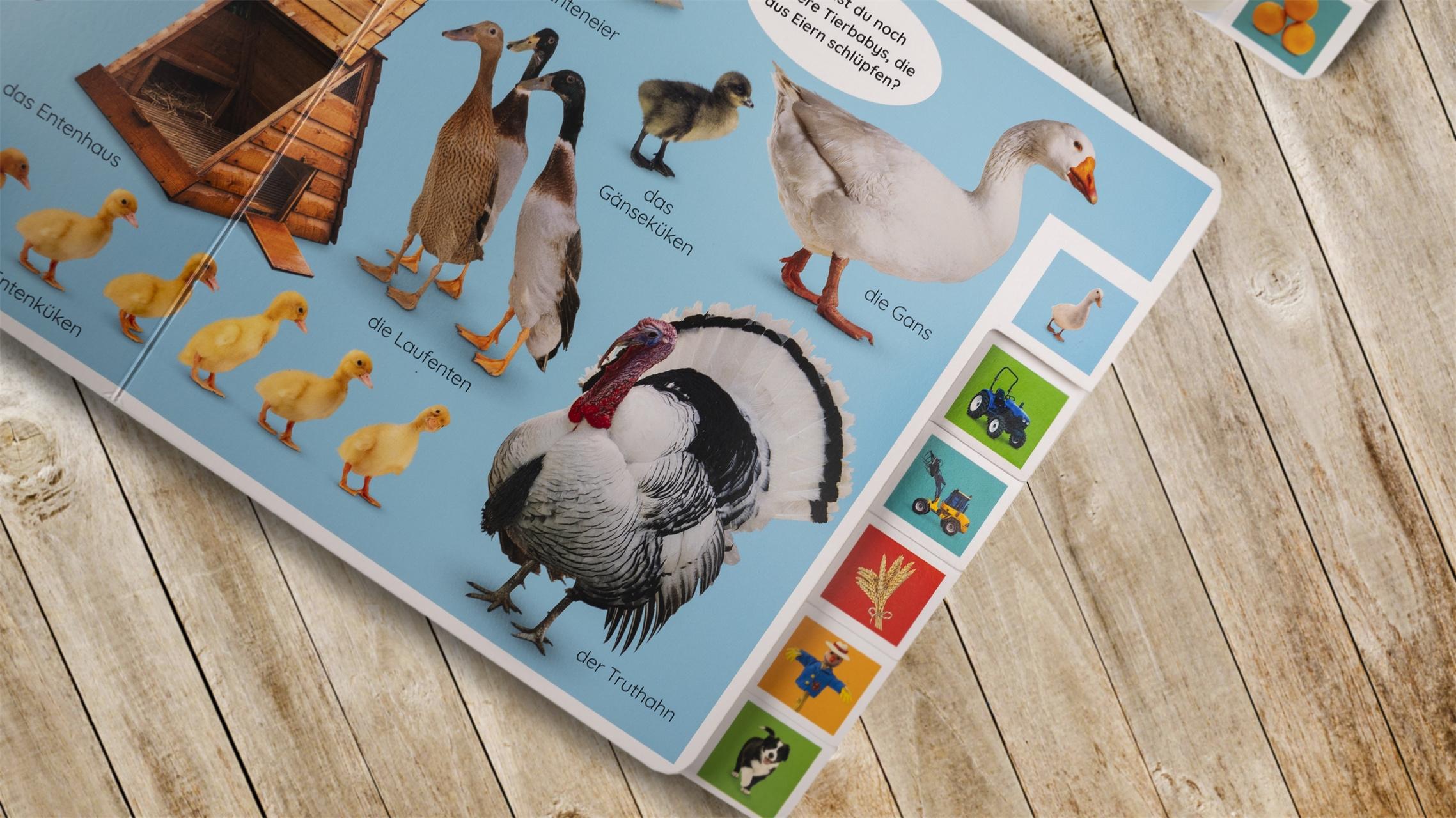 Produktbild Erstes Lernen. Wörter 6 von 10