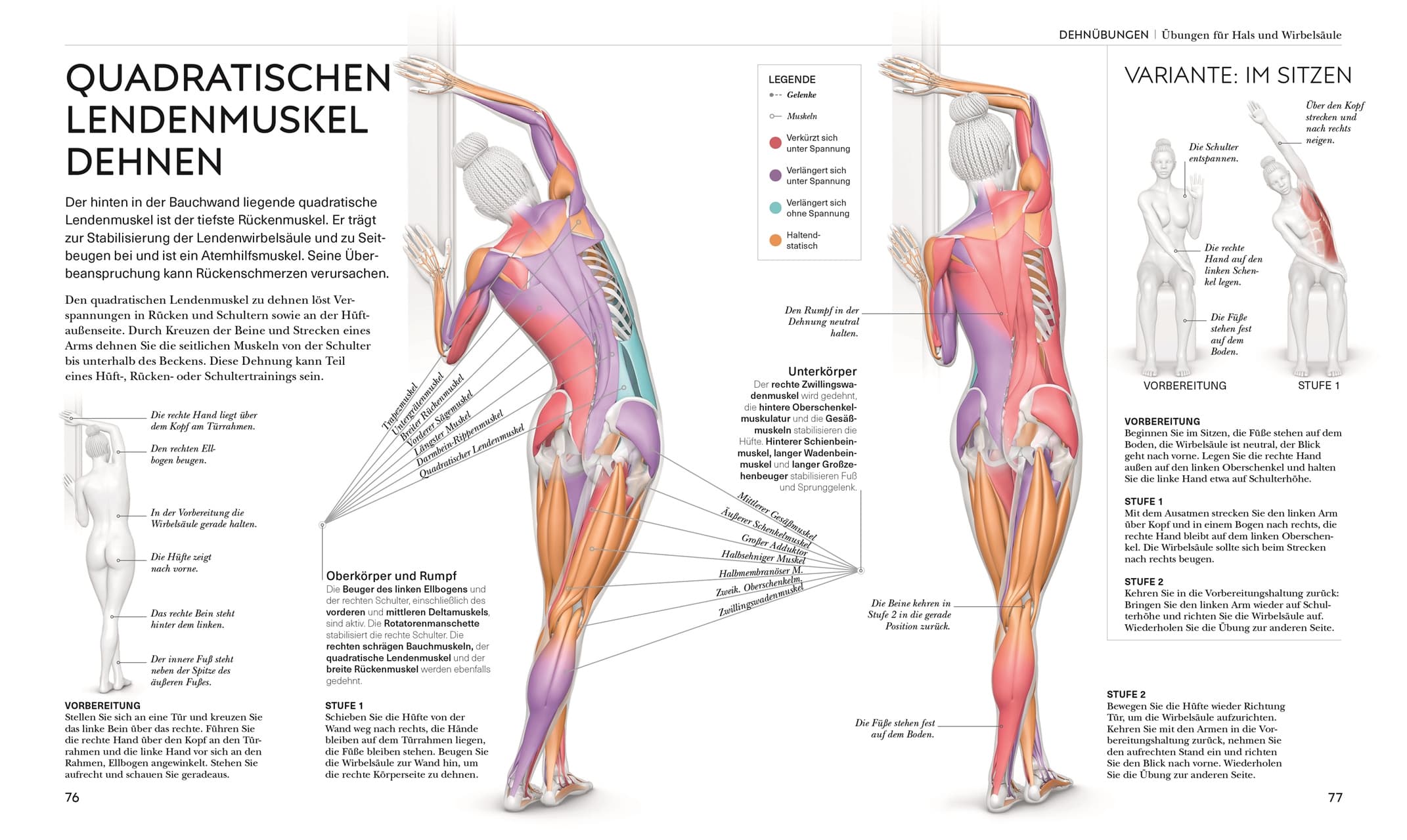 Produktbild Stretching - Die Anatomie verstehen 6 von 9