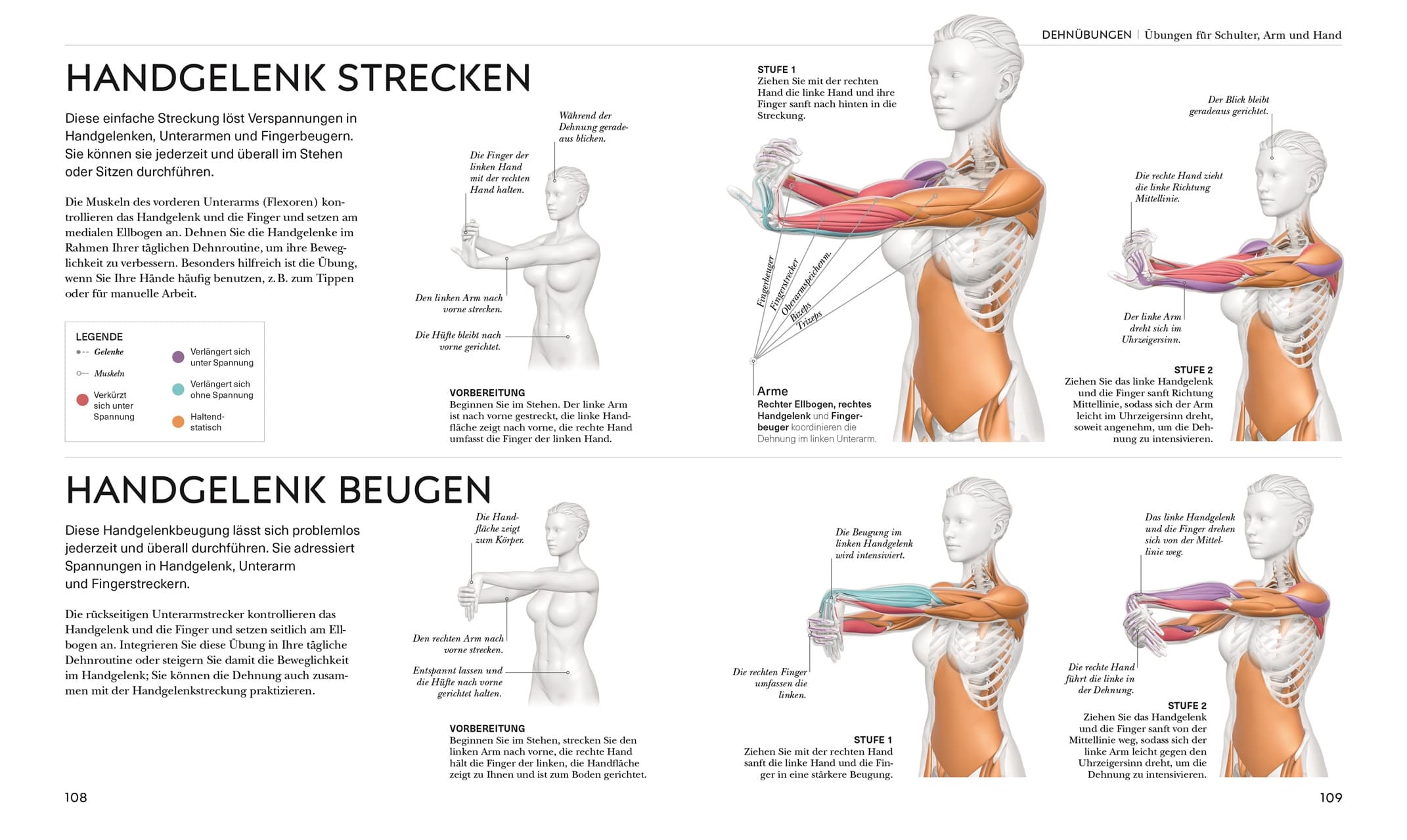 Produktbild Stretching - Die Anatomie verstehen 2 von 9