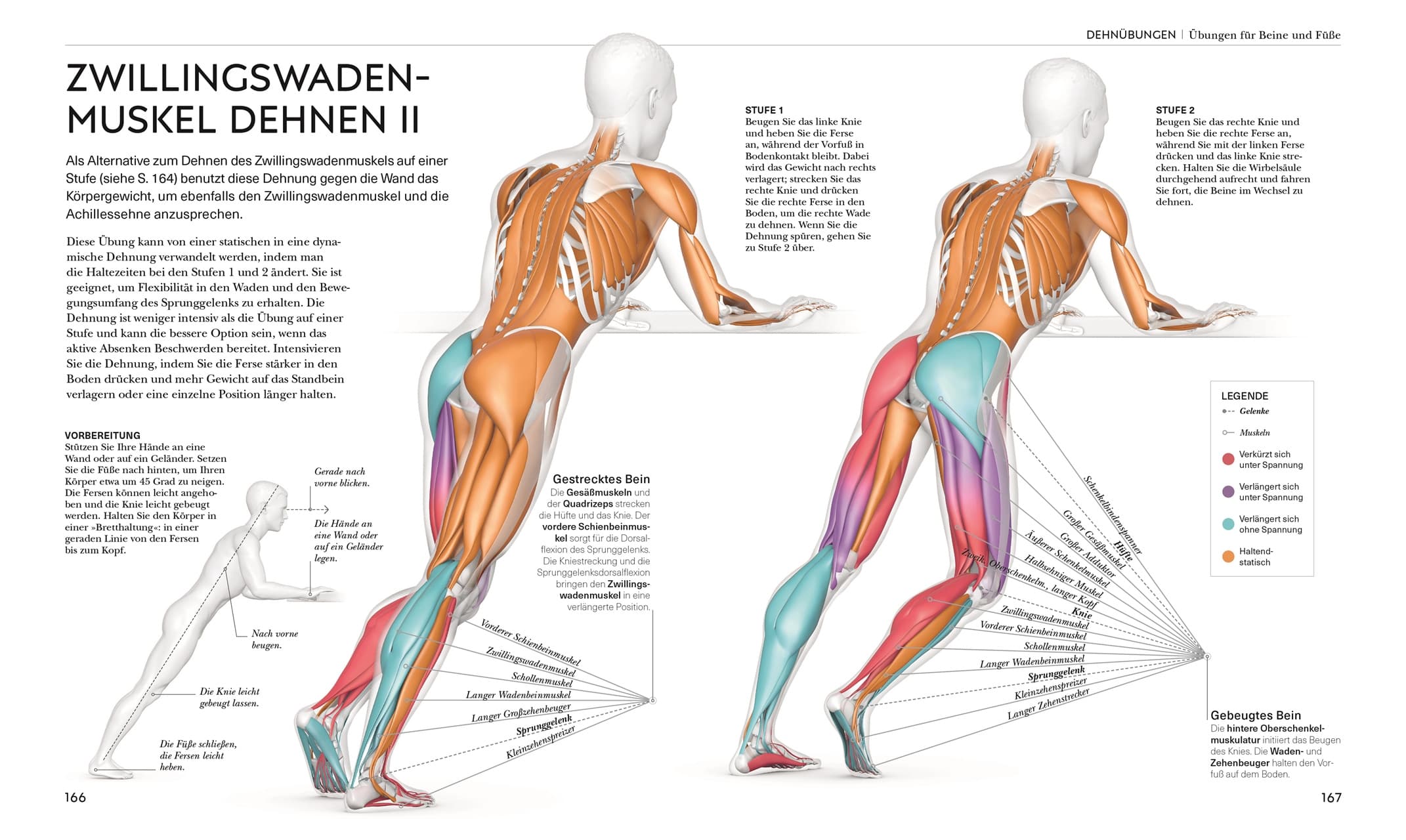 Produktbild Stretching - Die Anatomie verstehen 4 von 9