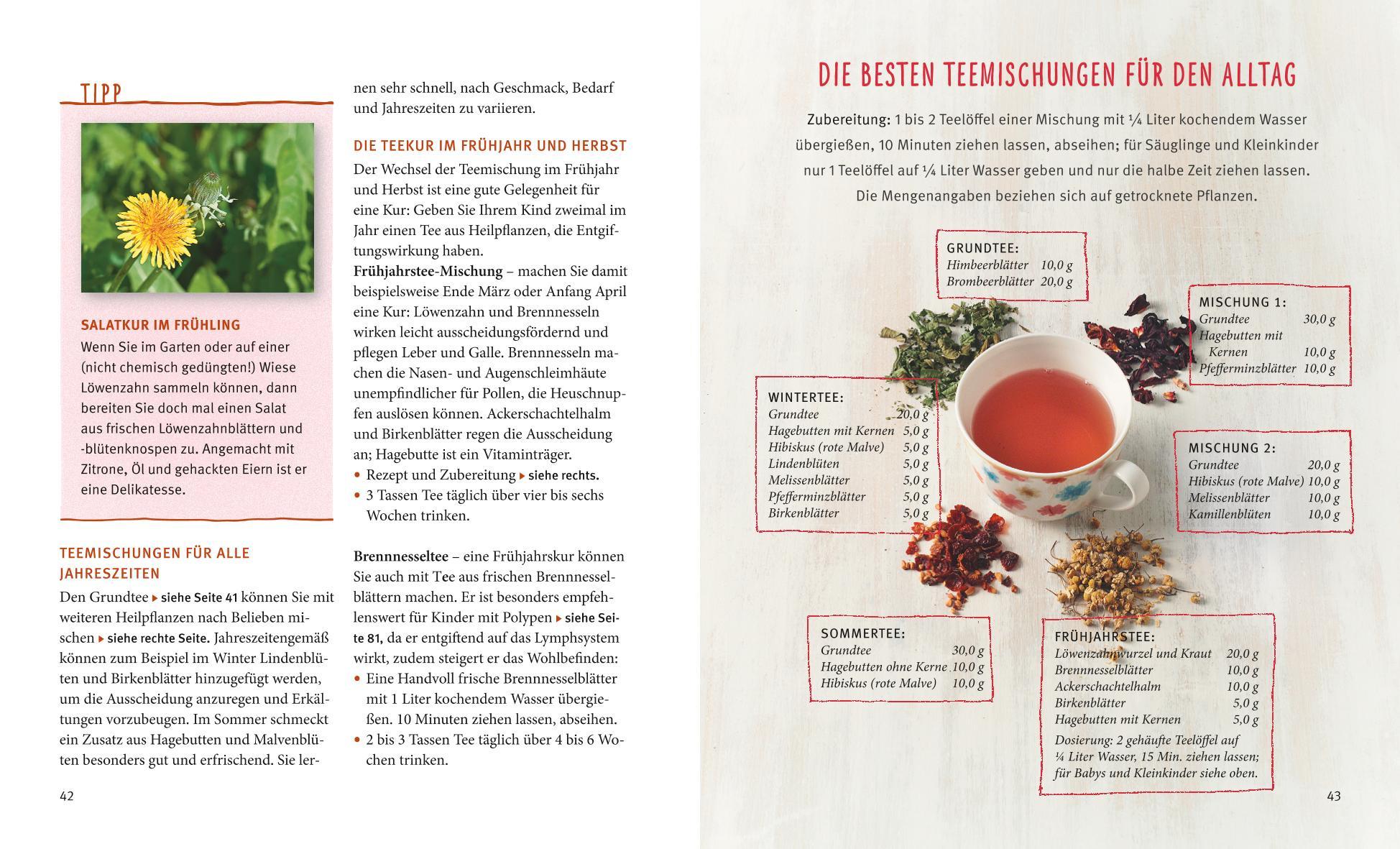 Produktbild Kinderkrankheiten natürlich behandeln 5 von 6