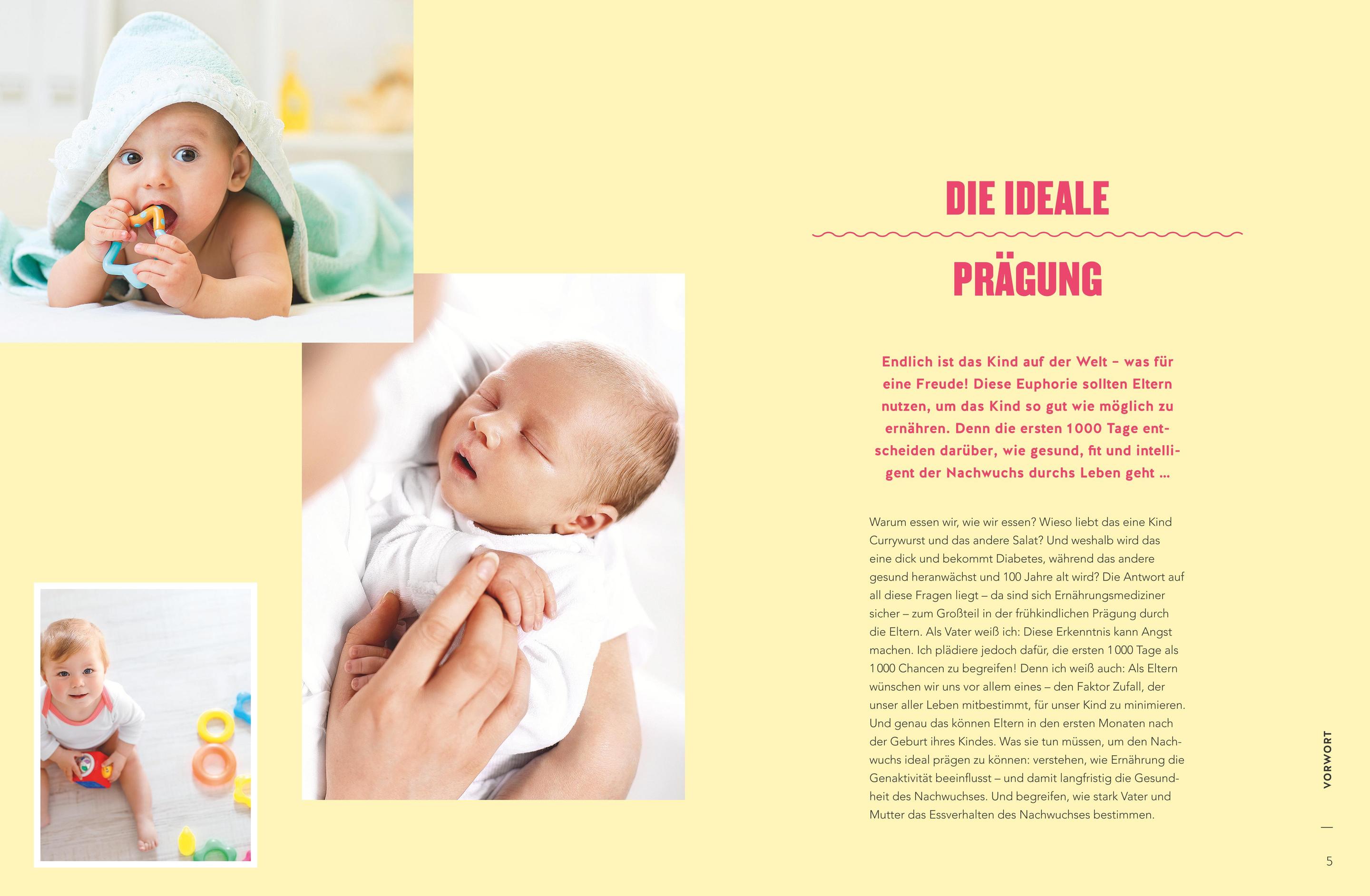 Produktbild Das Kochbuch der ersten 1000 Tage 7 von 7