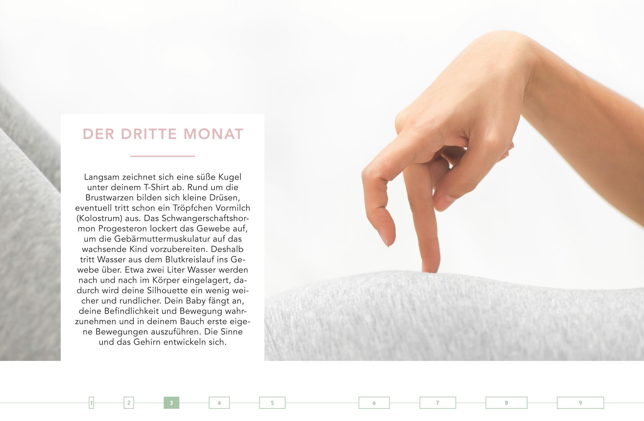 Produktbild Das Monats-Kochbuch für Schwangere 6 von 9